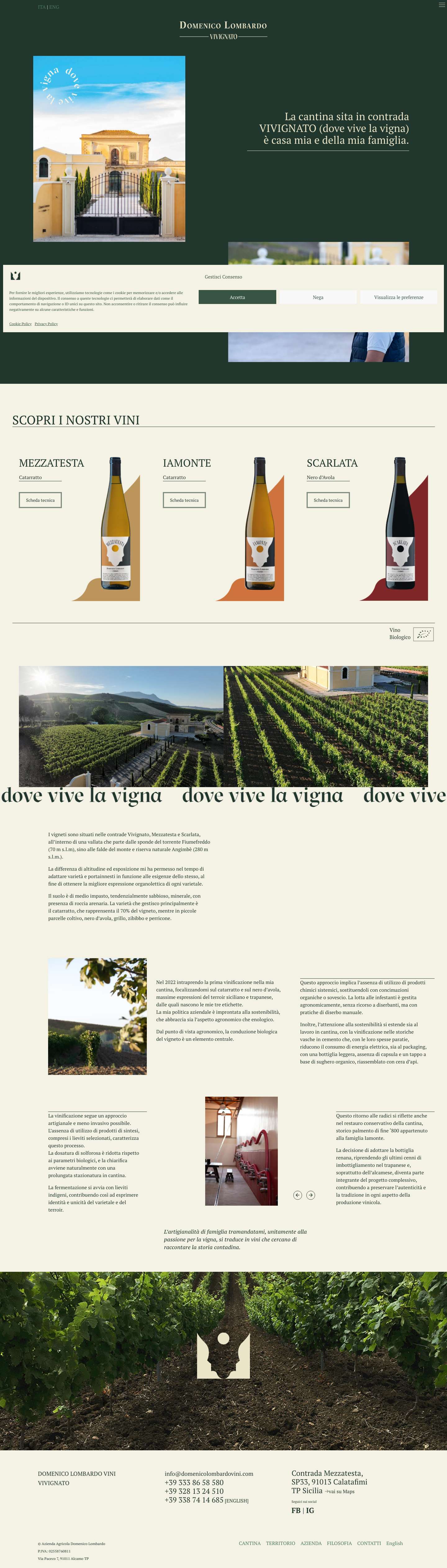 Domenico Lombardo Vini – Dove vive la vigna - Full Screenshot