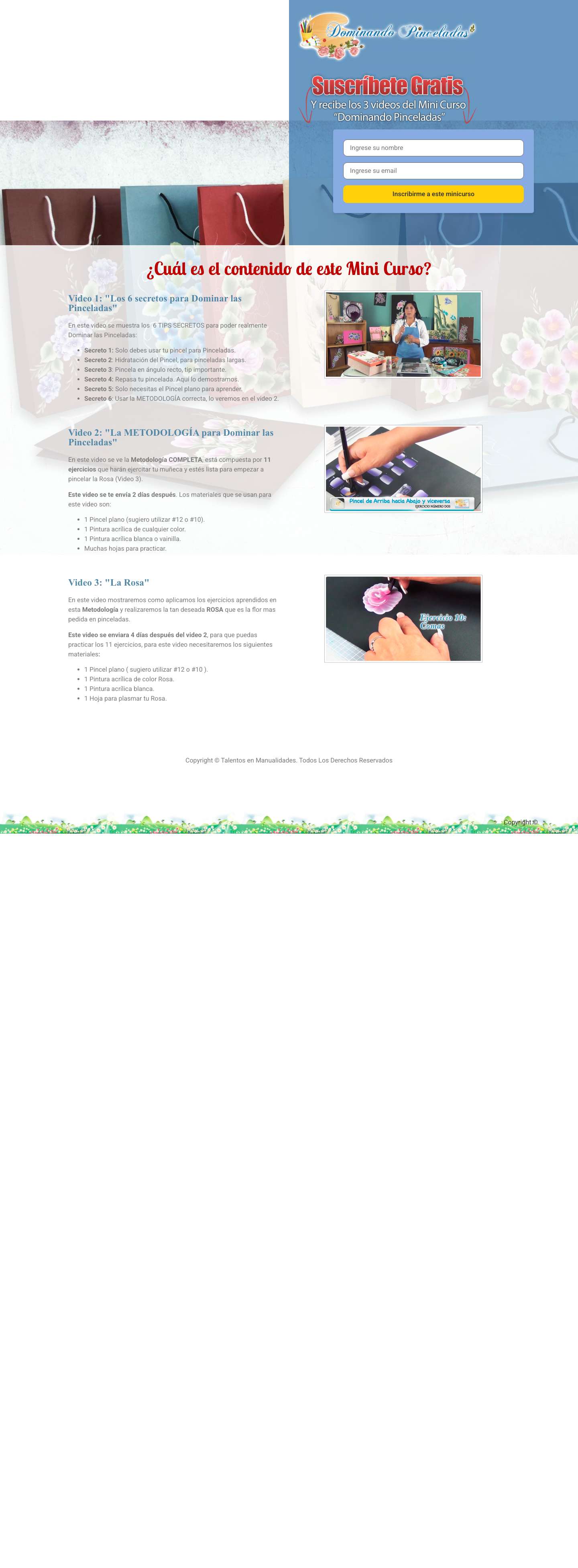 Dominando Pinceladas – Aprenda los secretos de como dominar las pinceladas decorativas - Full Screenshot