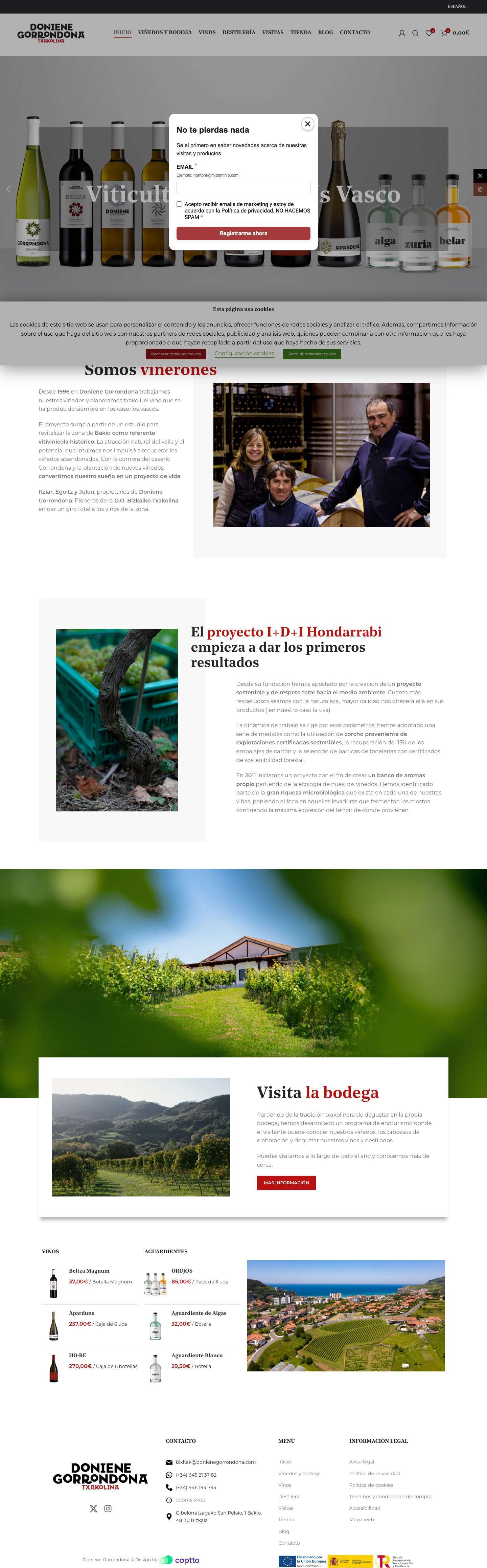 Inicio - Doniene Gorrondona - Full Screenshot