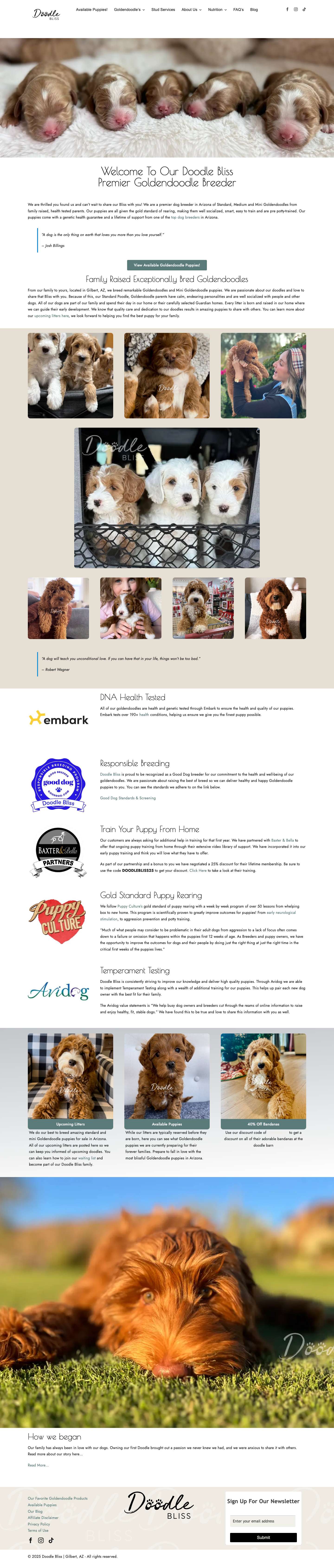 Doodle Bliss - Exceptionally bred Goldendoodles in Gilbert, AZ - Full Screenshot