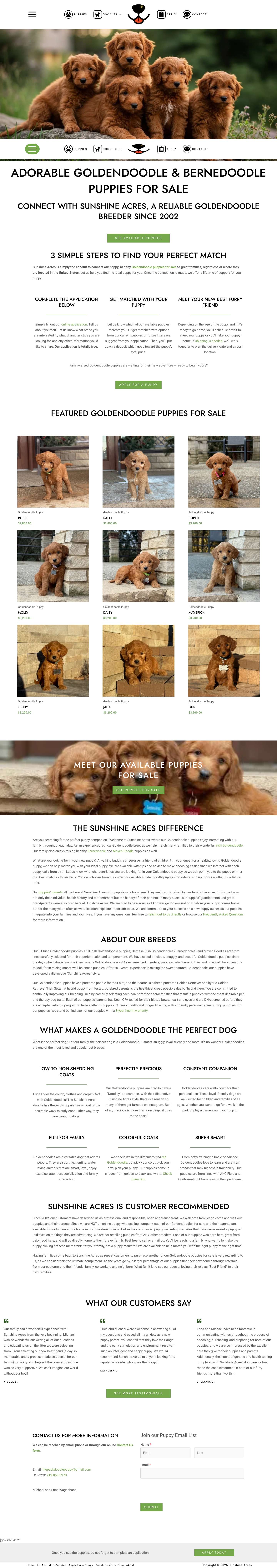 Goldendoodle & Bernedoodle Puppies for Sale | Chicago - Sunshine Acres - Full Screenshot