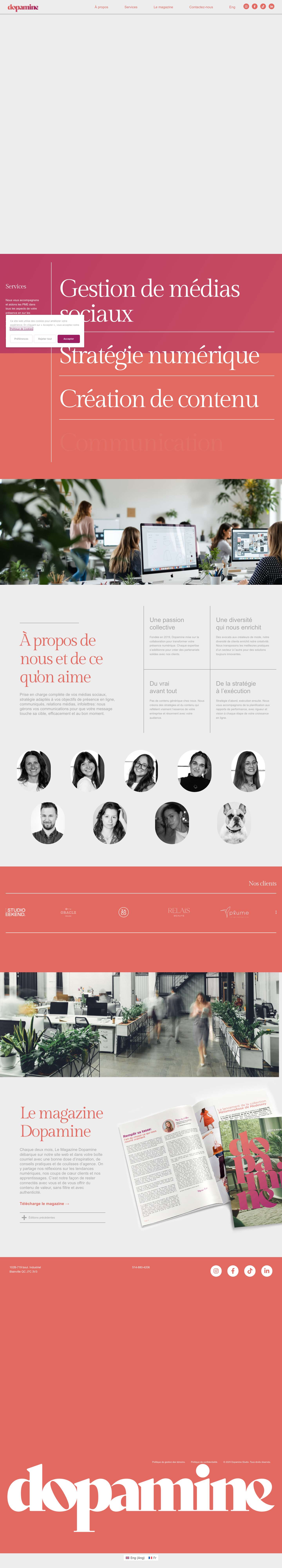 Accueil - Dopamine - Full Screenshot