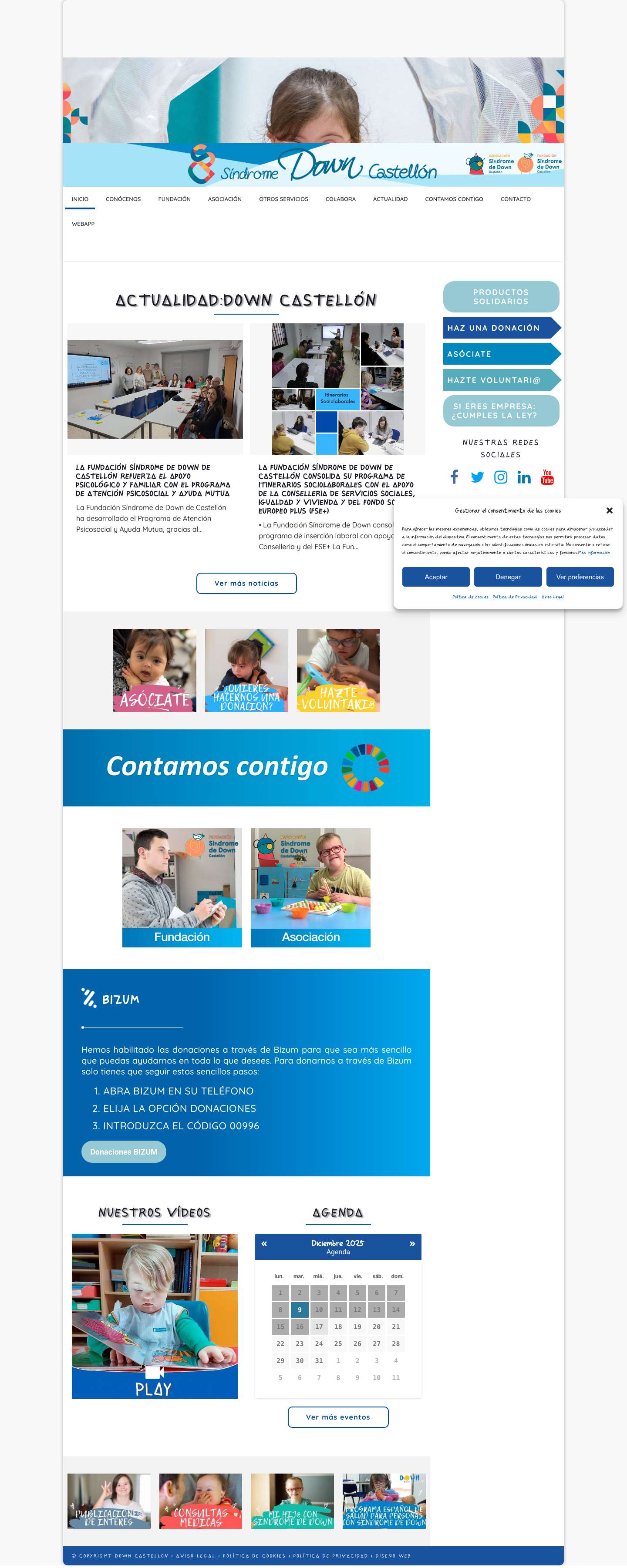 Síndrome de Down Castellón - Asociación y Fundación. - Full Screenshot