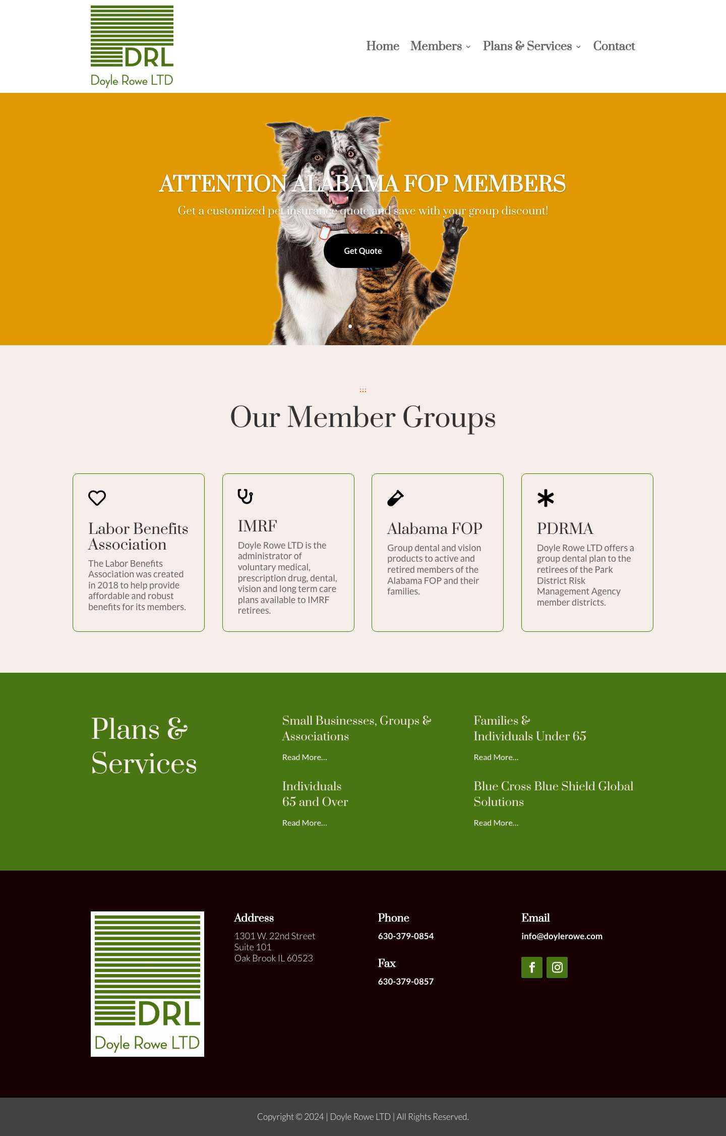 Doyle Rowe LTD | Healthy Coverage Starts Here - Full Screenshot