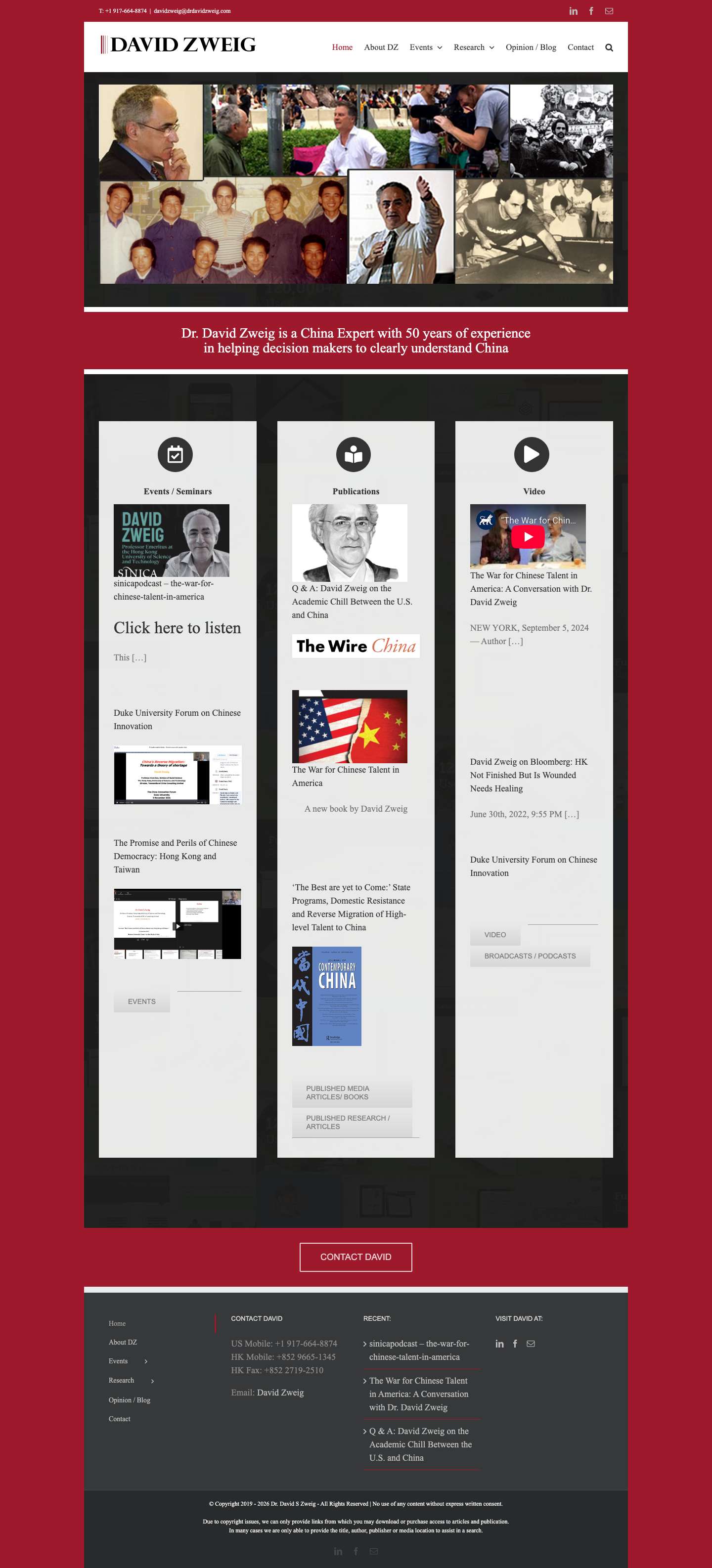 home-dsz - Dr David Zweig - Full Screenshot