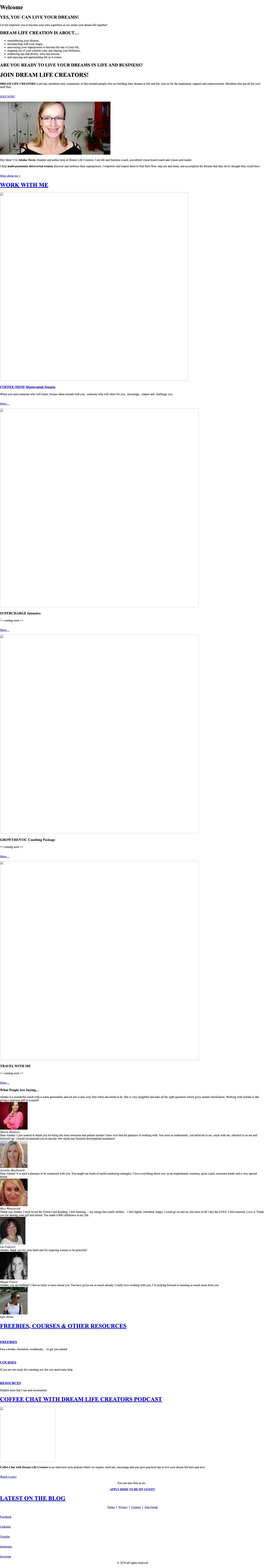 Welcome - Dream Life Creation - Full Screenshot
