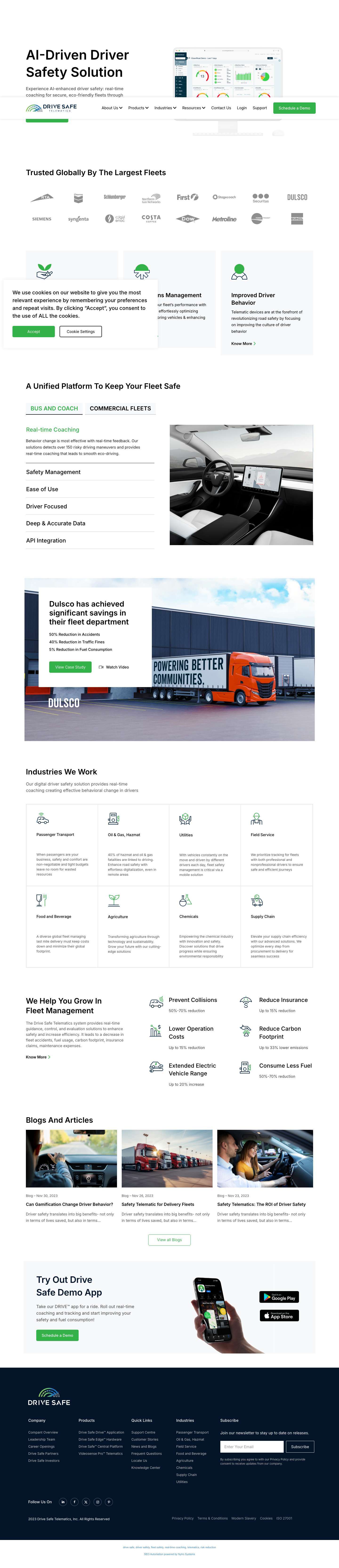 Home - Fleet Management Sofware and Safety Solutions | Drive Safe TelematicsHome - Fleet Management Sofware and Safety Solutions | Drive Safe Telematics - Full Screenshot