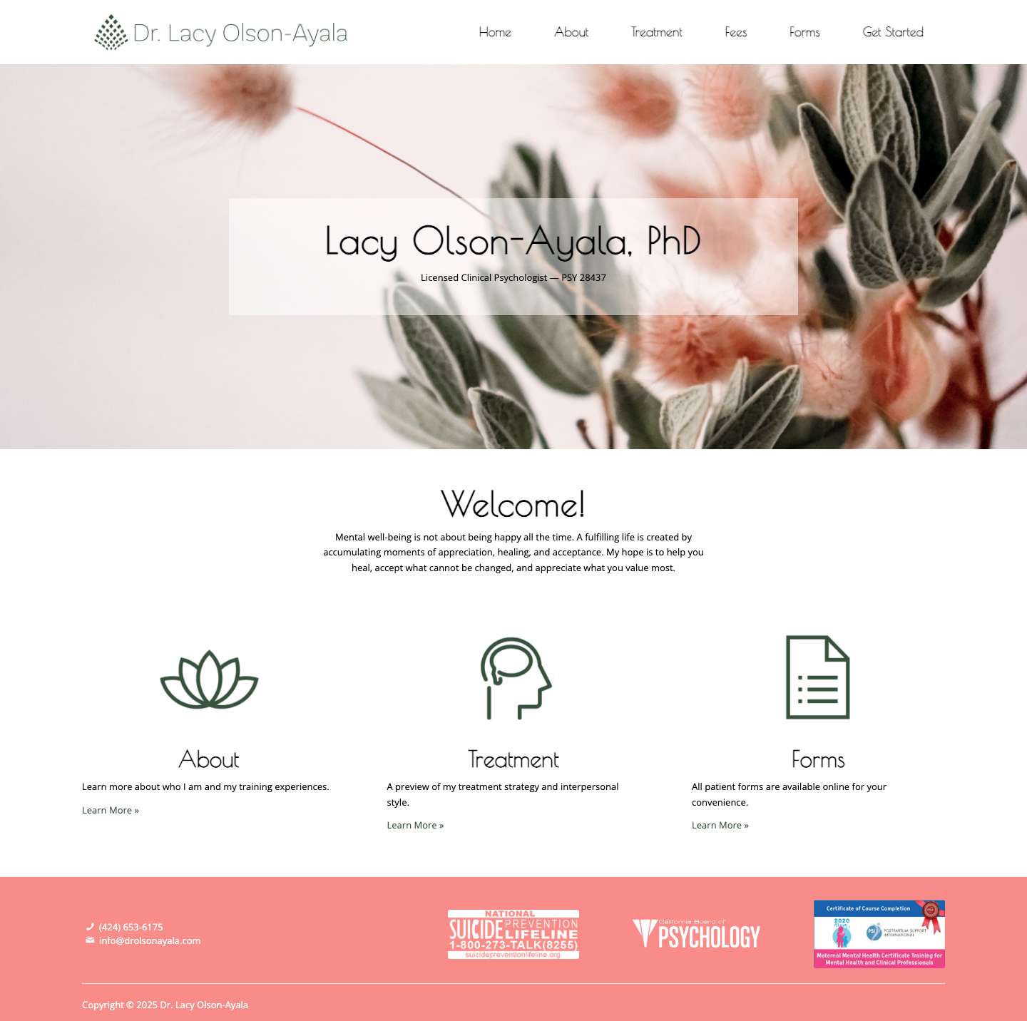 Lacy Olson-Ayala, PhD – Licensed Clinical Psychologist – PSY 28437 - Full Screenshot