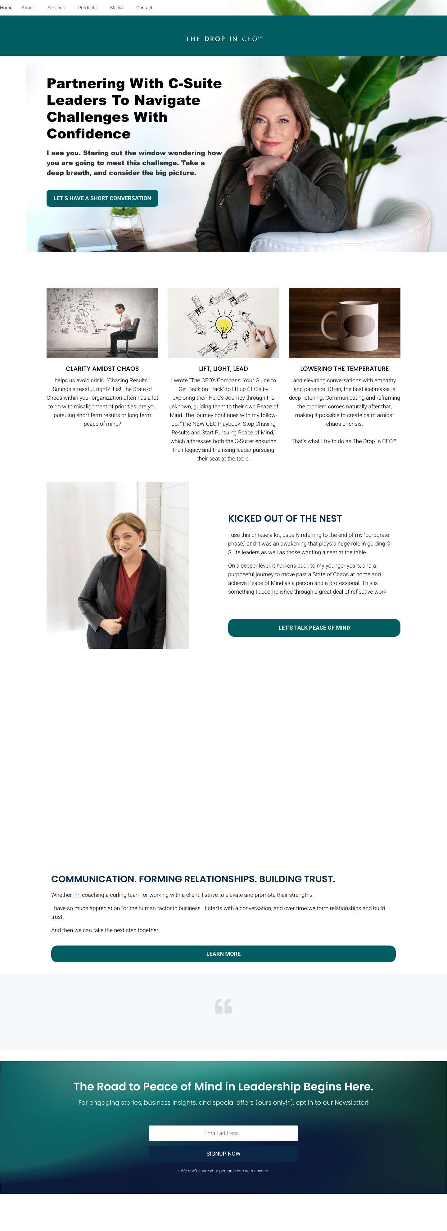 The Drop In CEO™: Executive Coach & Speaker for Leadership Peace of Mind - Full Screenshot