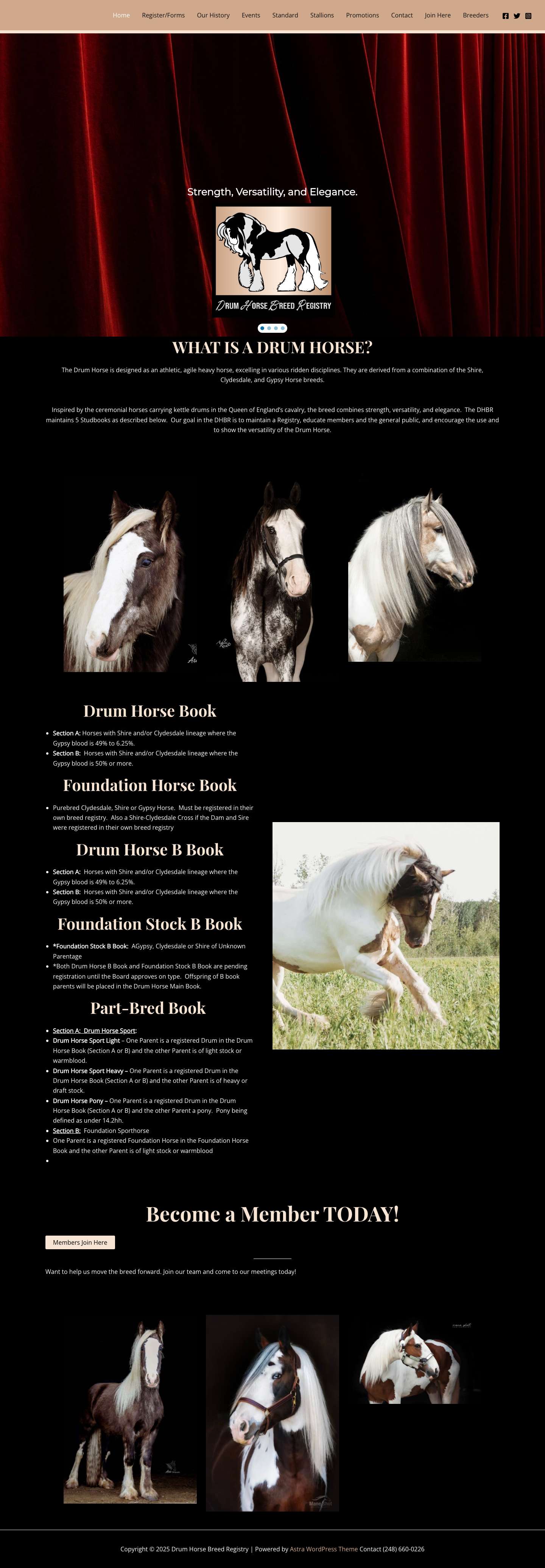 Home - Drum Horse Breed Registry - Full Screenshot