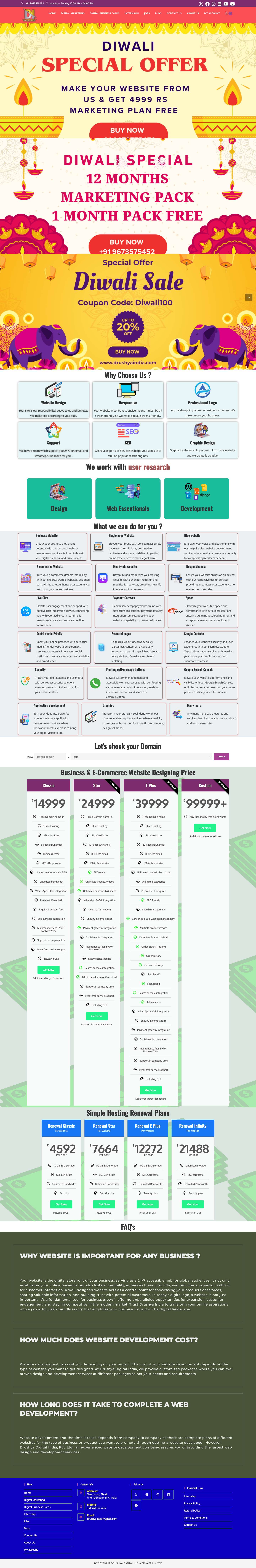 Elevate Your Business: Professional Web Development Service - Full Screenshot
