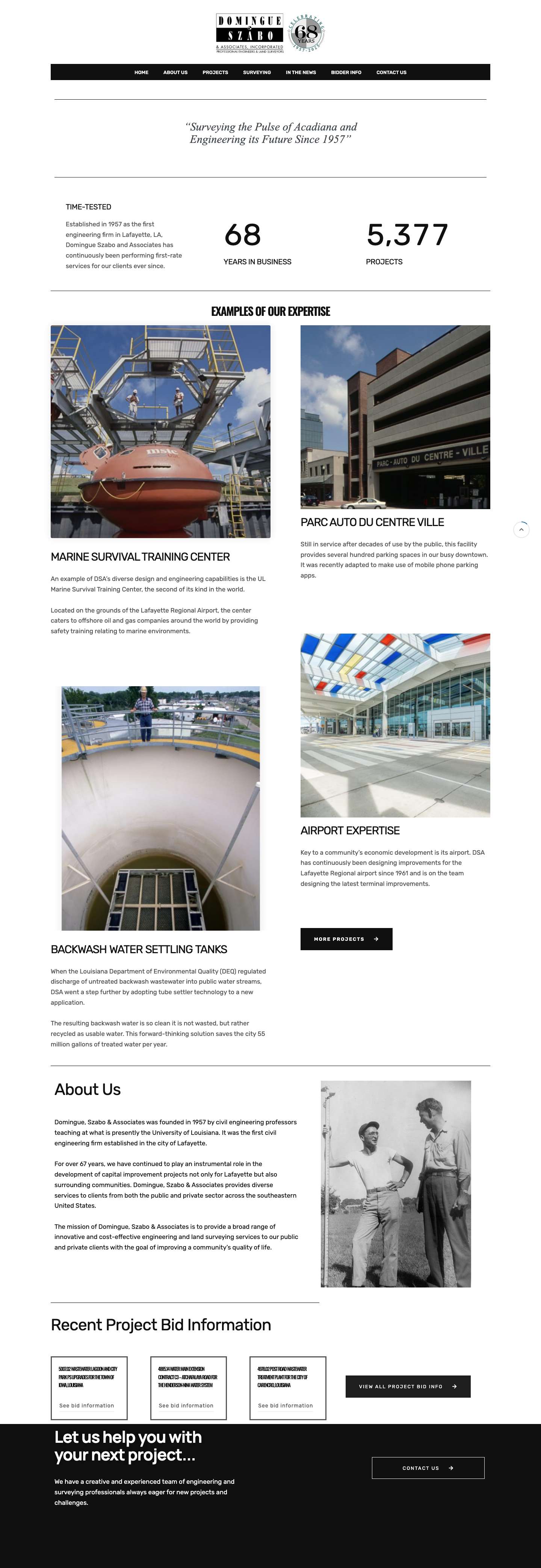 Domingue Szabo and Associates - Full Screenshot