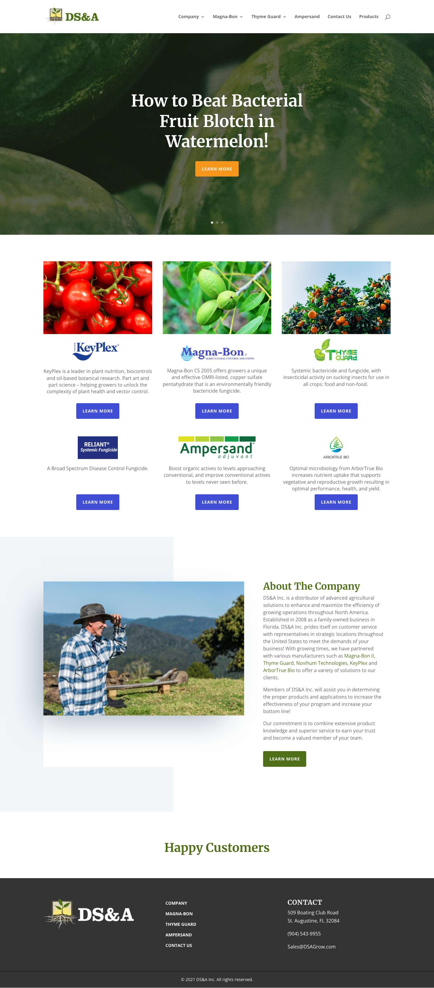 DS&A Inc. | - Full Screenshot