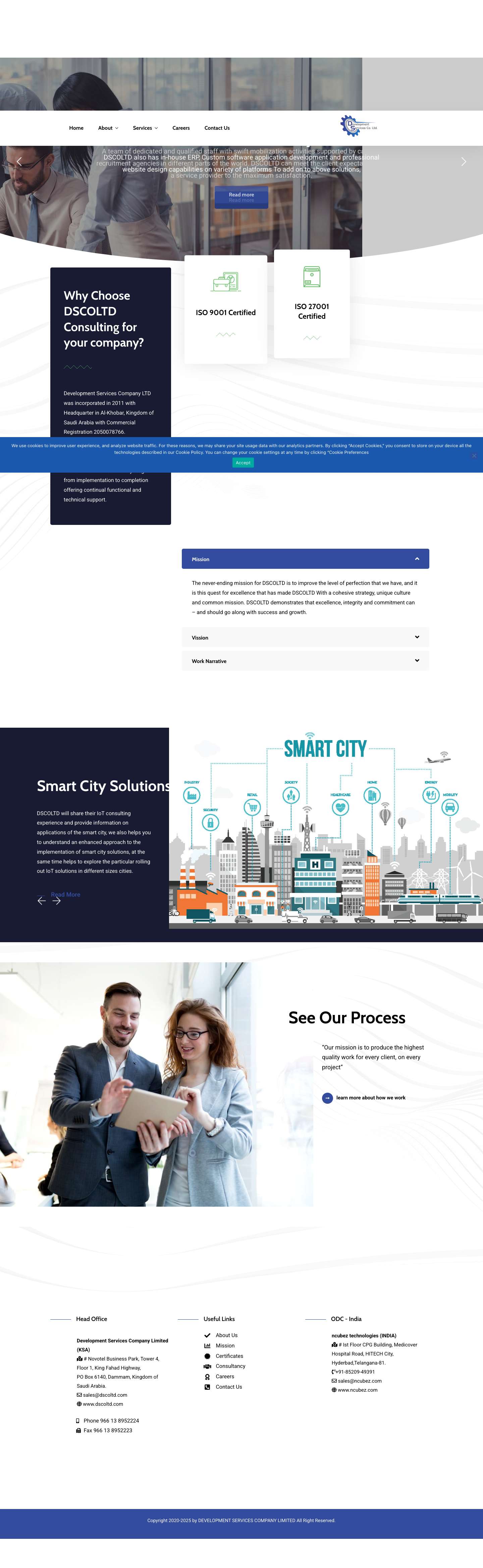 Development Services Company LTD DSCOLTD Professional Manpower Services, IT Support - Full Screenshot