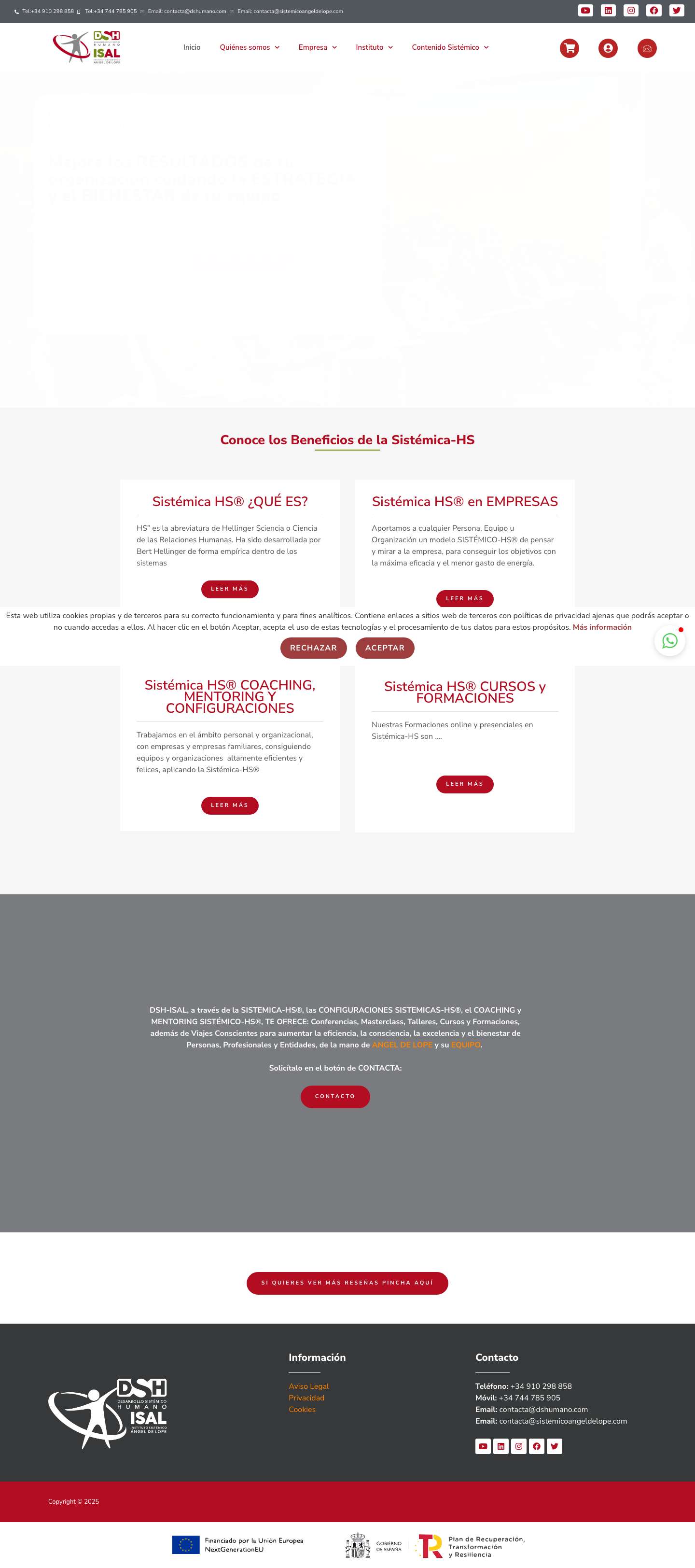 Consultoría Sistémica-HS® - DS HUMANO - Full Screenshot