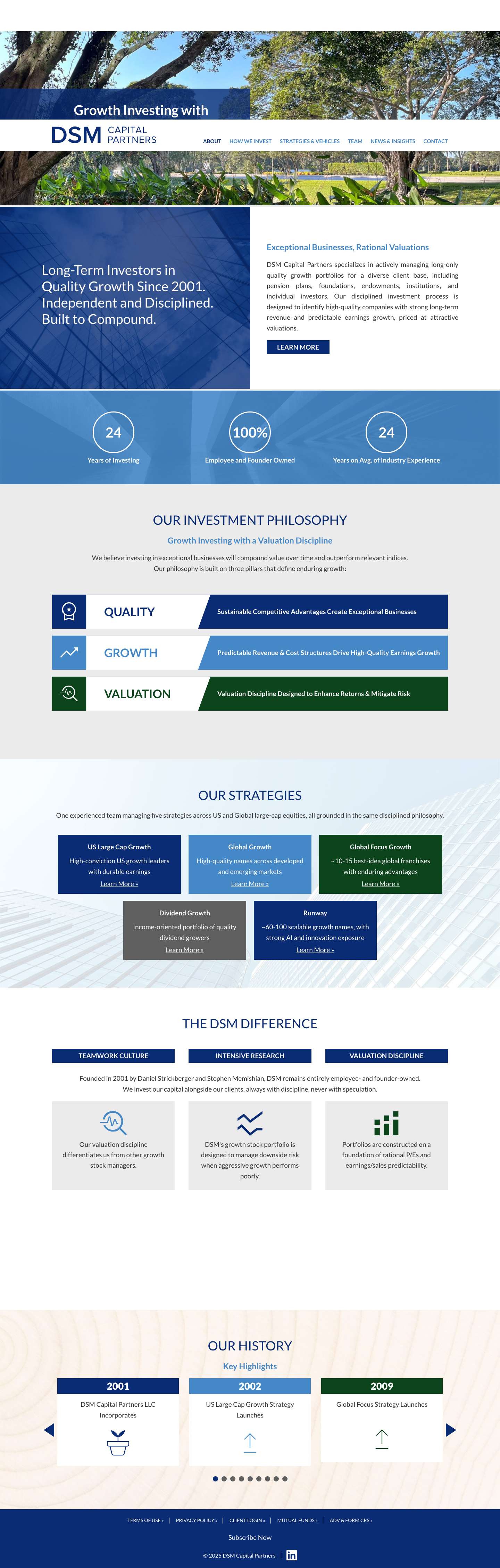 DSM Capital Partners | Long-Only Growth Equity Manager - Full Screenshot