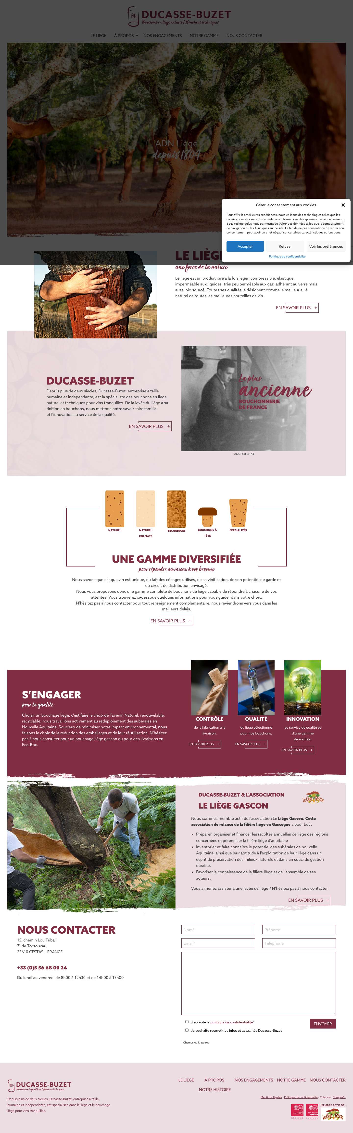 Accueil - Ducasse Buzet - Full Screenshot