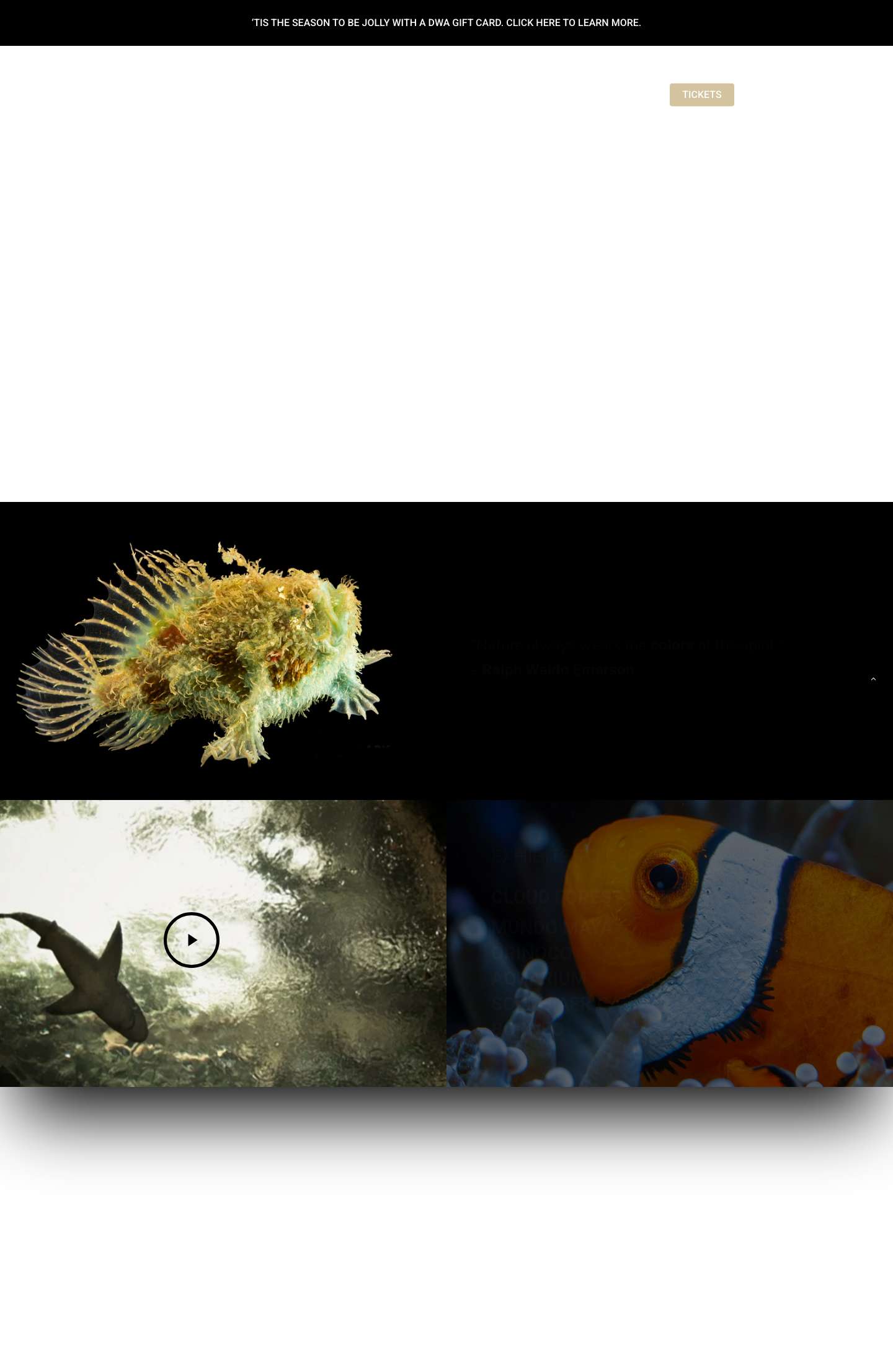 The Dallas World Aquarium – #DWAZOO - Full Screenshot