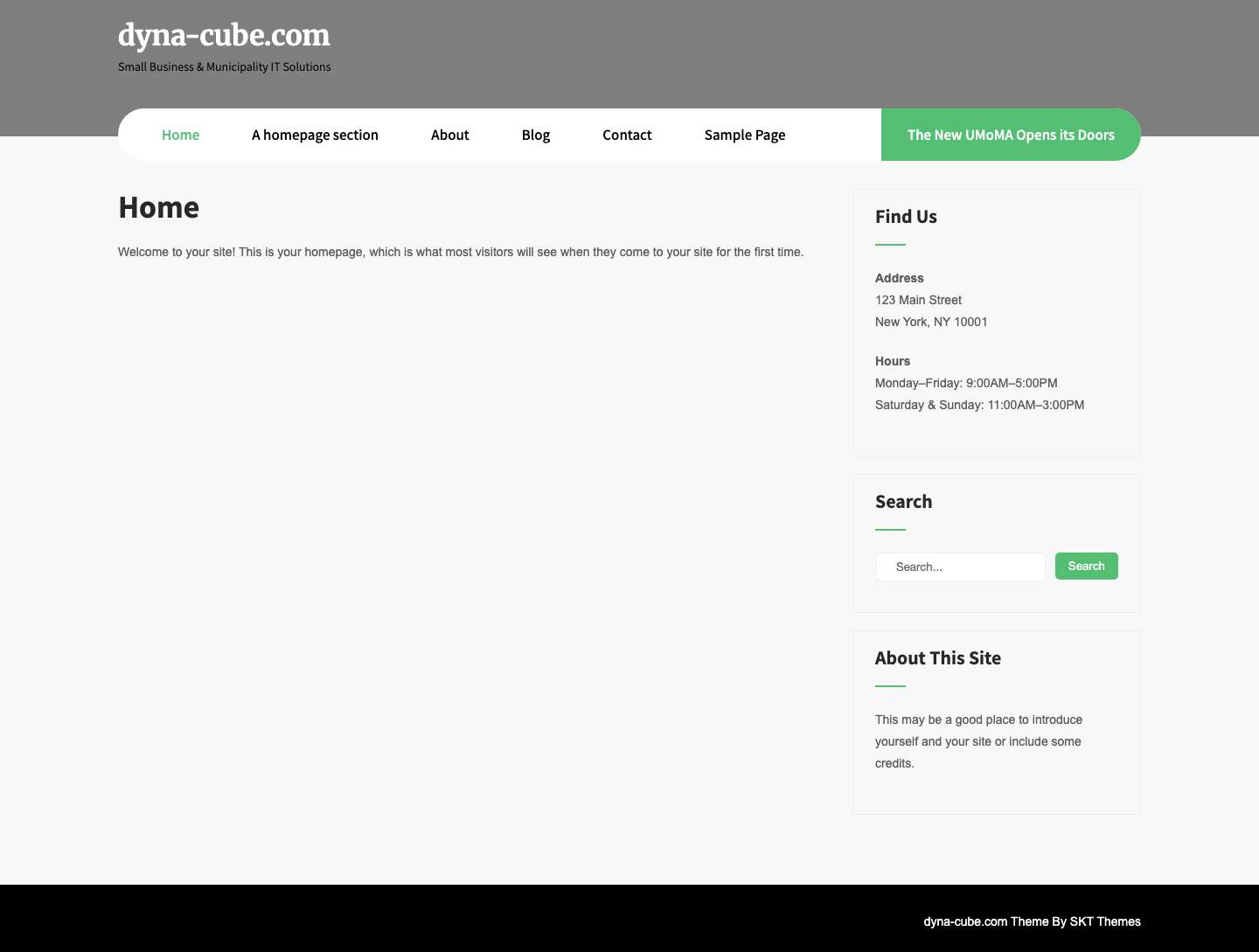 dyna-cube.com – Small Business & Municipality IT Solutions - Full Screenshot