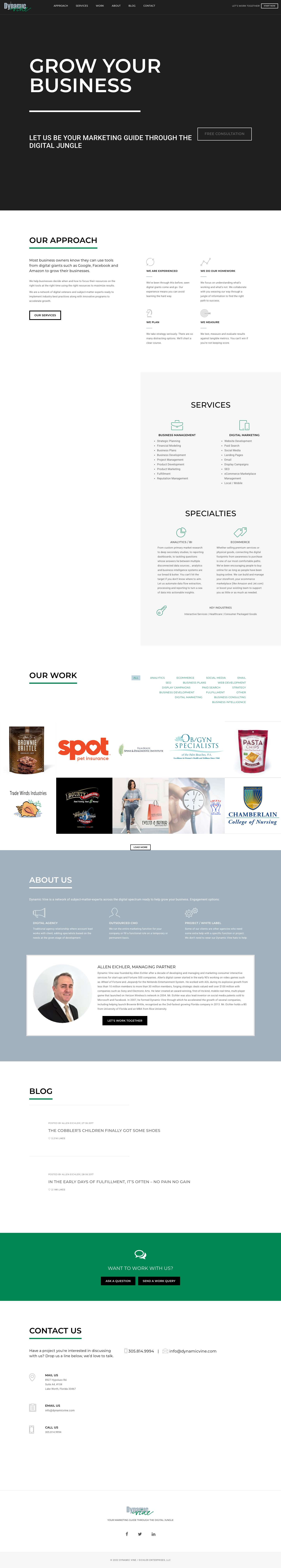 Dynamic Vine – Digital Agency / Business Consultants, your marketing guide through the digital jungle. Let us help you grow your business. - Full Screenshot