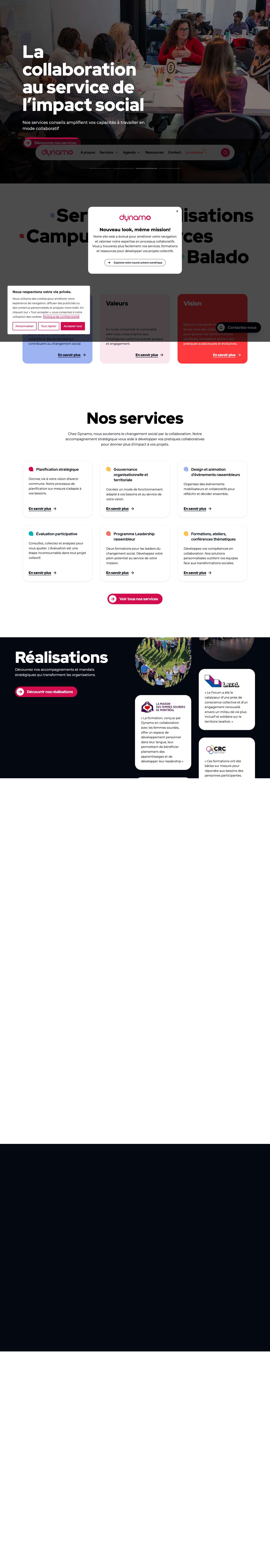 Dynamo | Rôle-conseil en travail collaboratif - Full Screenshot
