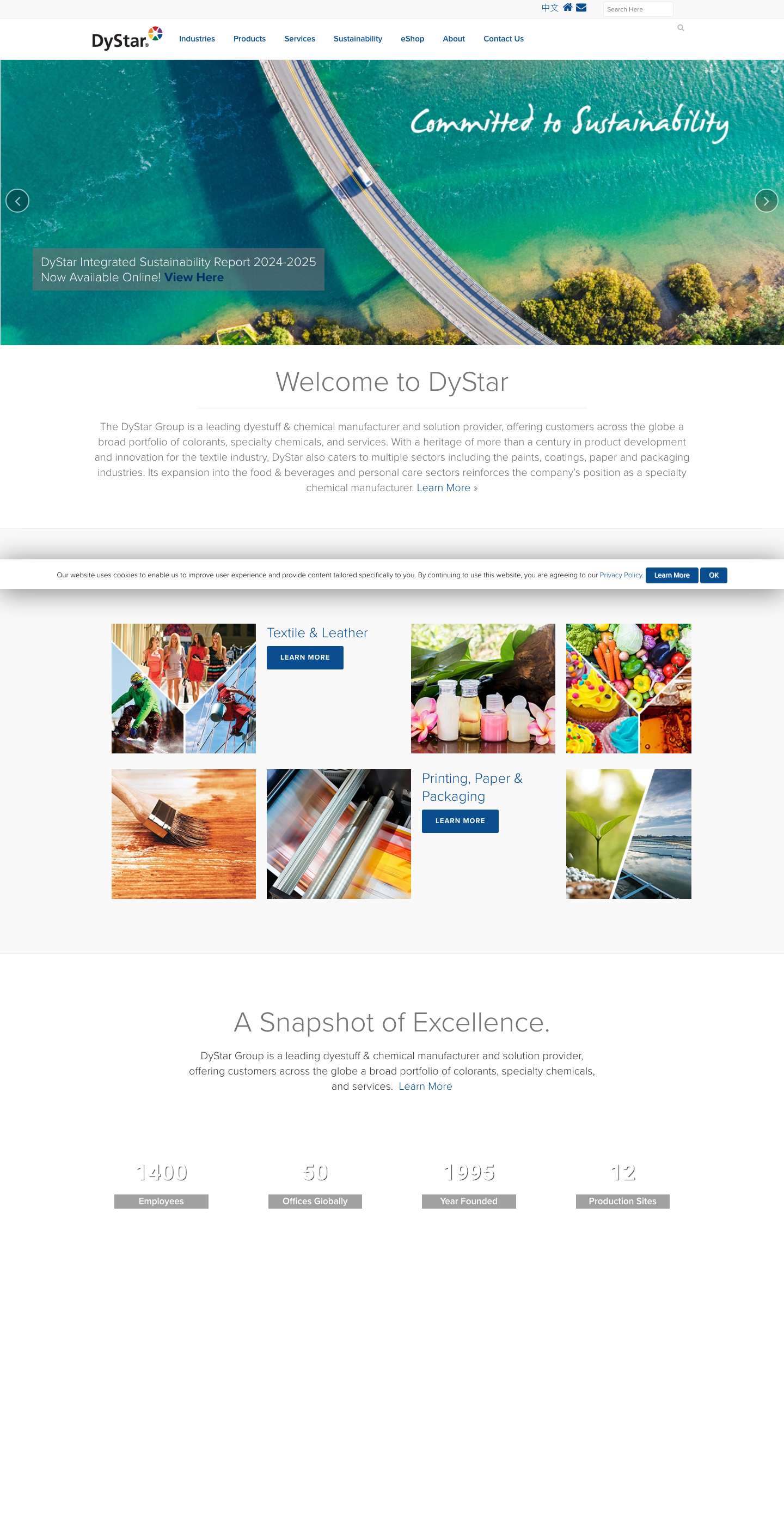 DyStar Group - Full Screenshot