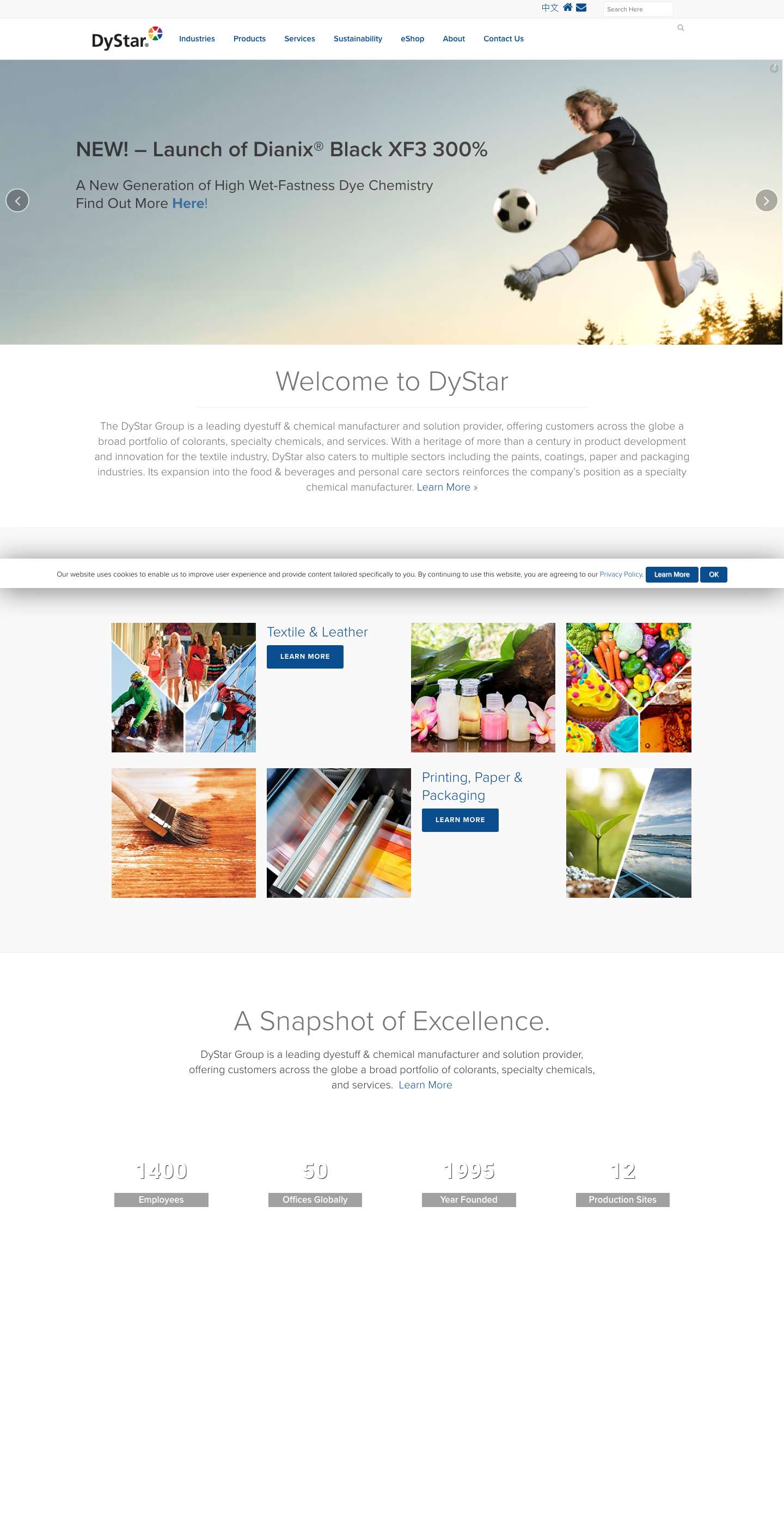 DyStar Group - Full Screenshot