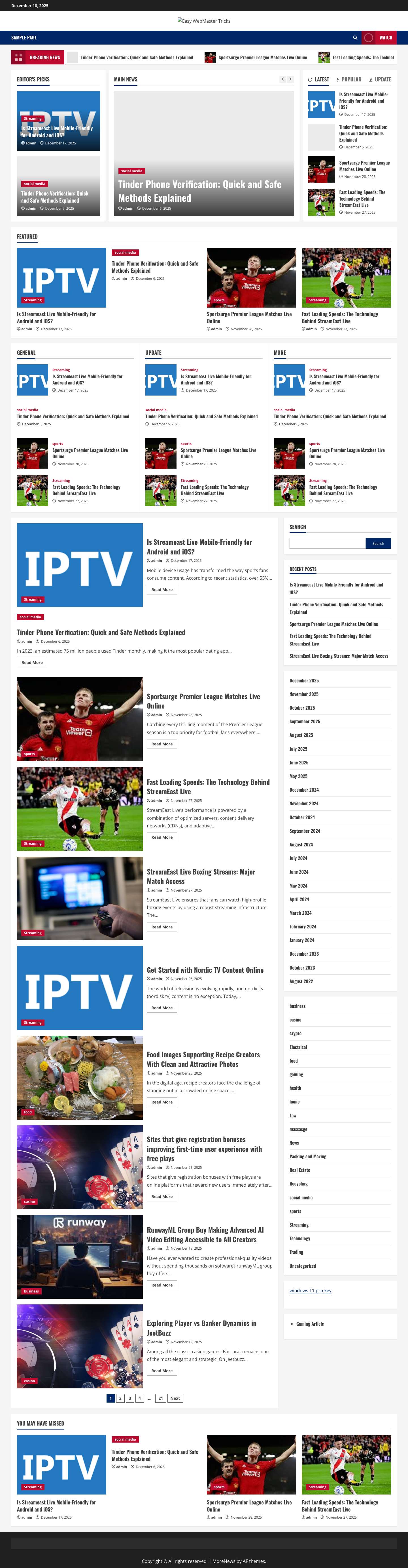 Easy WebMaster Tricks – Simplifying Web Management with Tech Tricks - Full Screenshot