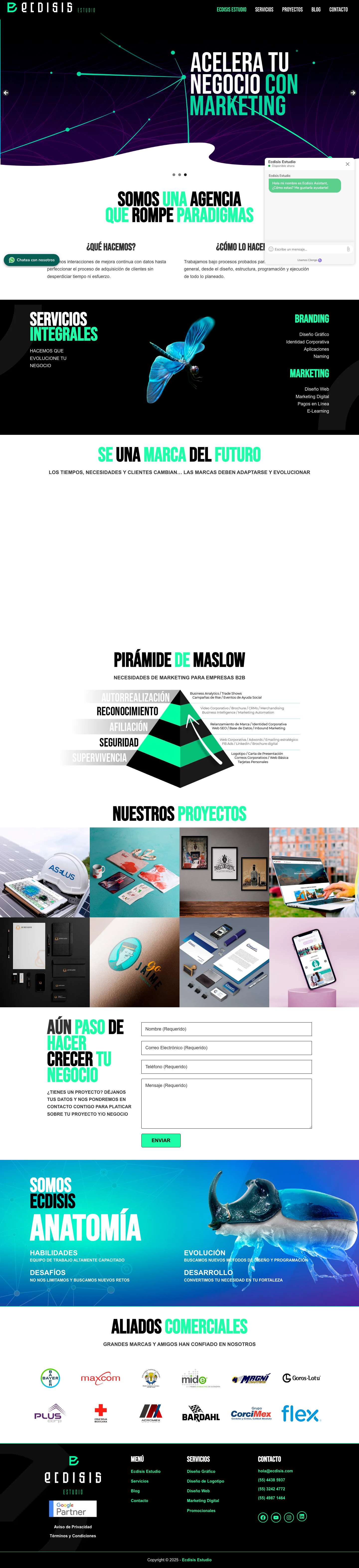 Ecdisis Estudio - Full Screenshot