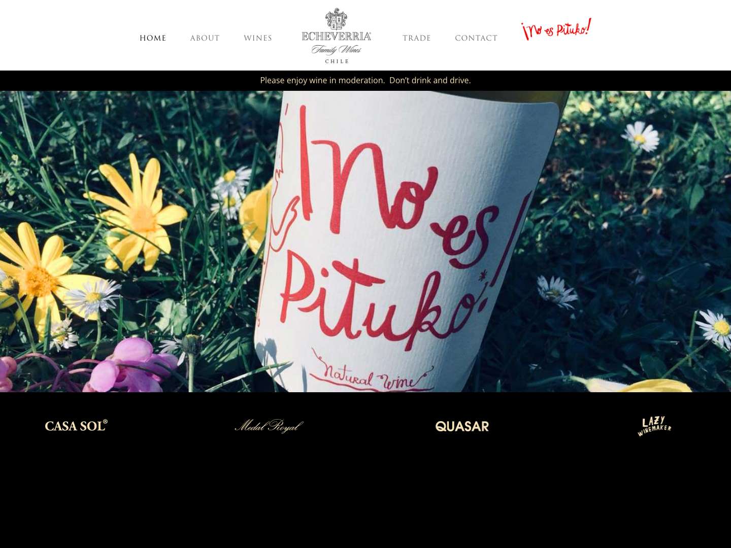 Vina Echeverria | - Full Screenshot