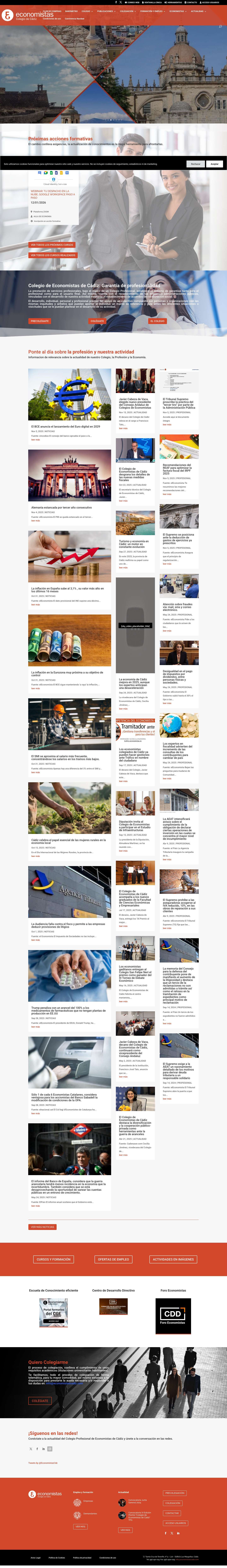 Colegio Economistas de Cádiz | Ser economista es estar en el corazón de la empresa y el desarrollo. - Full Screenshot