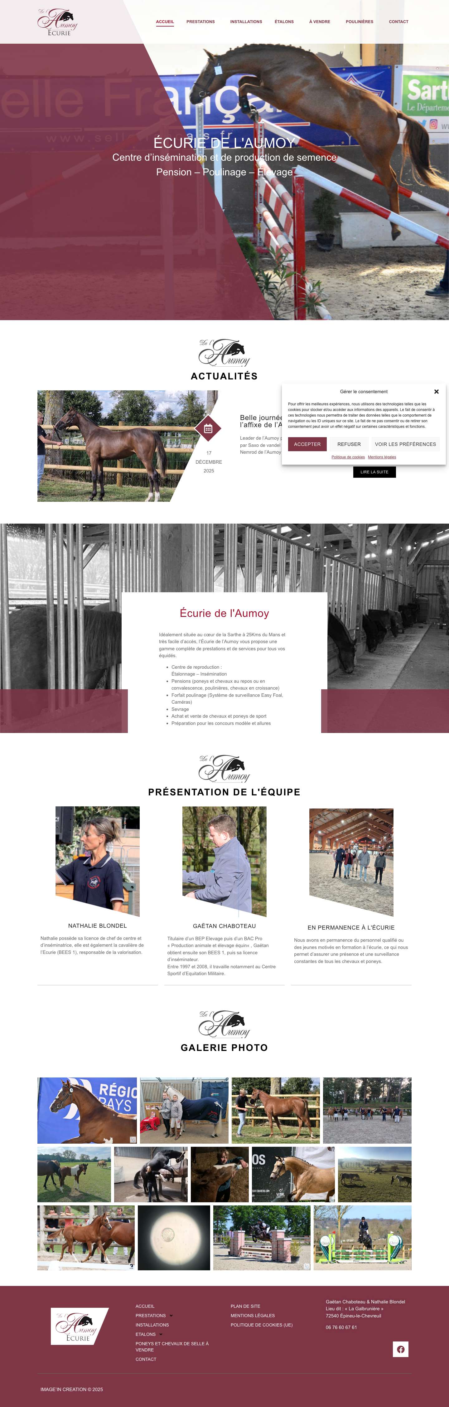 Accueil - Ecurie de l'Aumoy - Full Screenshot