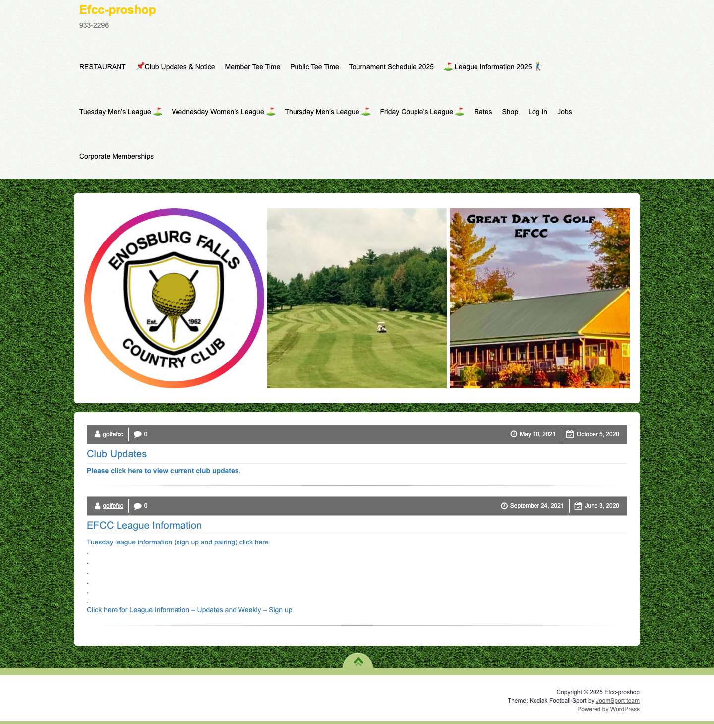 Efcc-proshop – 933-2296 - Full Screenshot