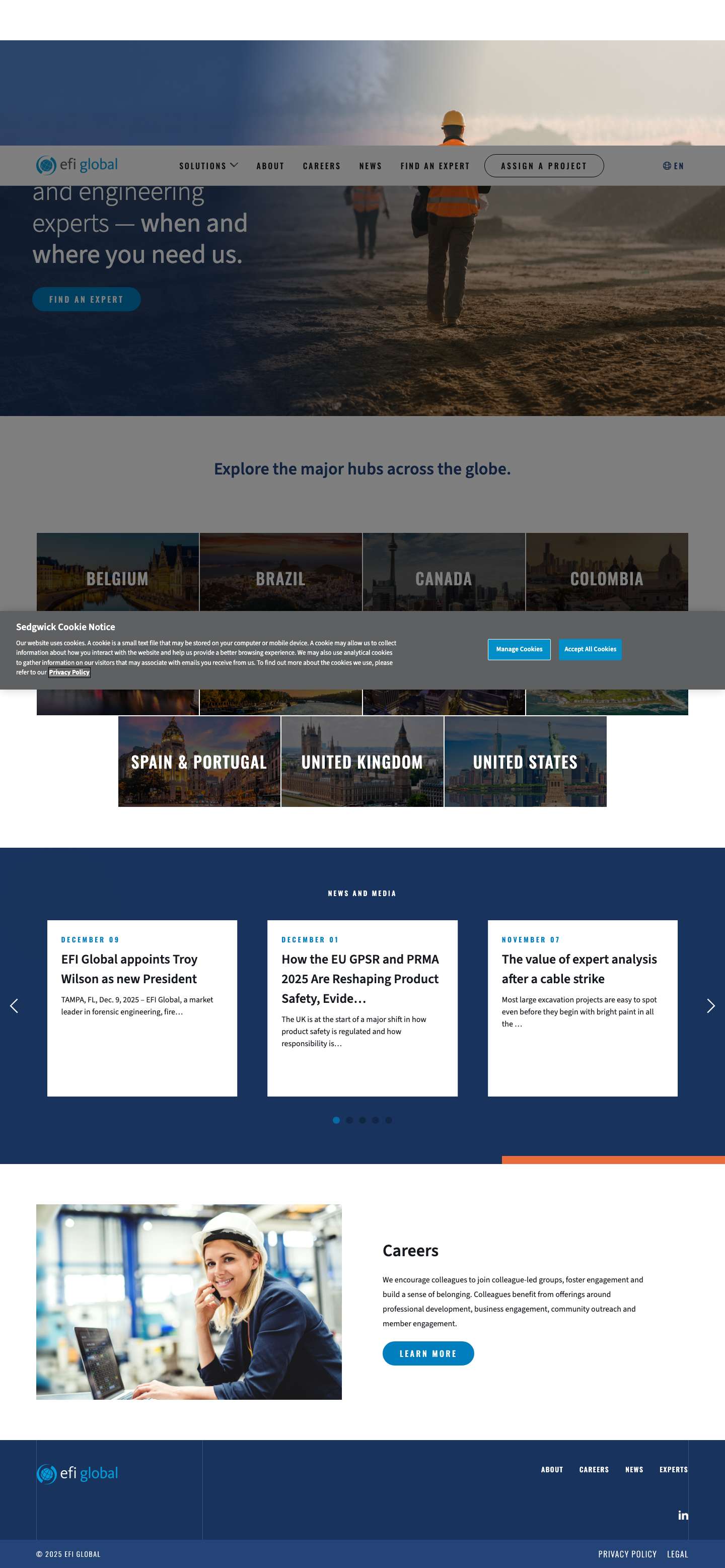 EFI Global | Engineering, Environmental and Fire Consulting - Full Screenshot