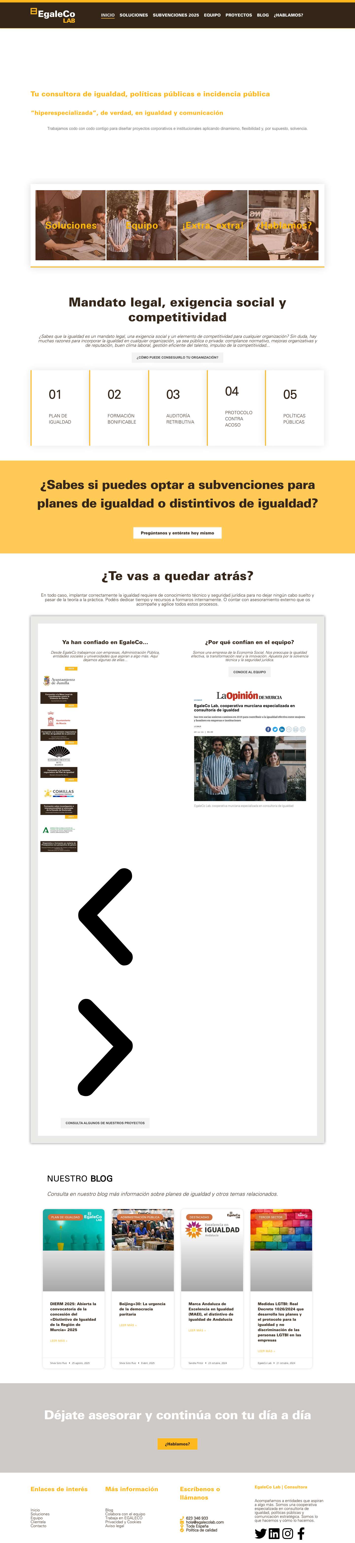 Consultora de igualdad, políticas públicas y comunicación - Full Screenshot