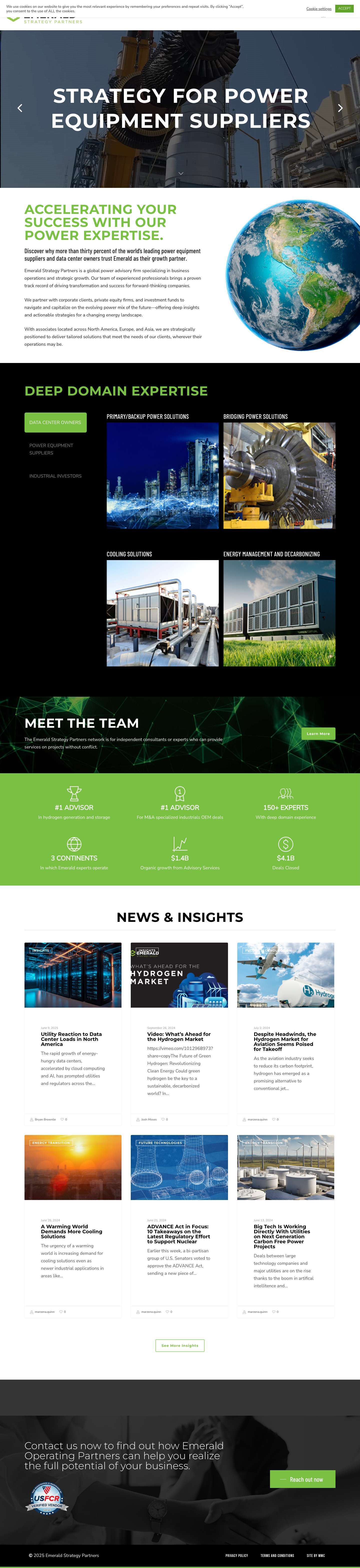 Emerald Strategy Partners – Driving Growth - Full Screenshot