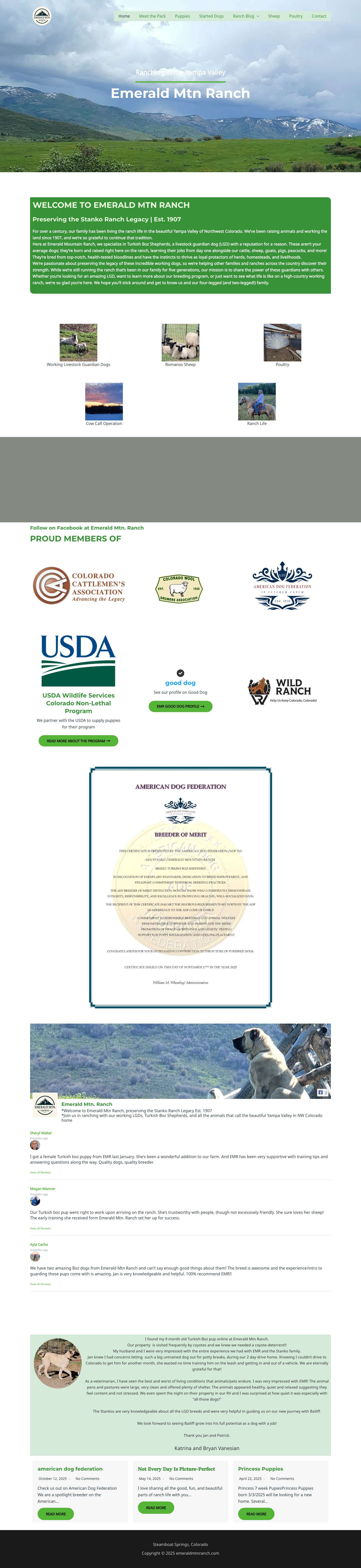 Turkish Boz Shepherd Dogs - Emerald Mtn Ranch, ColoradoComments Box SVG icons - Full Screenshot