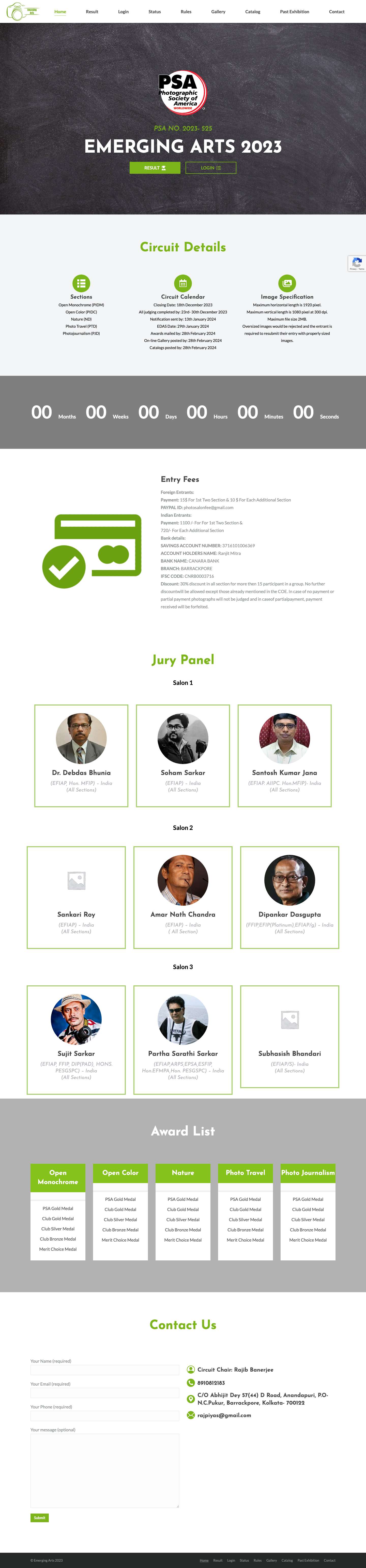 Home - Emerging Arts - Full Screenshot