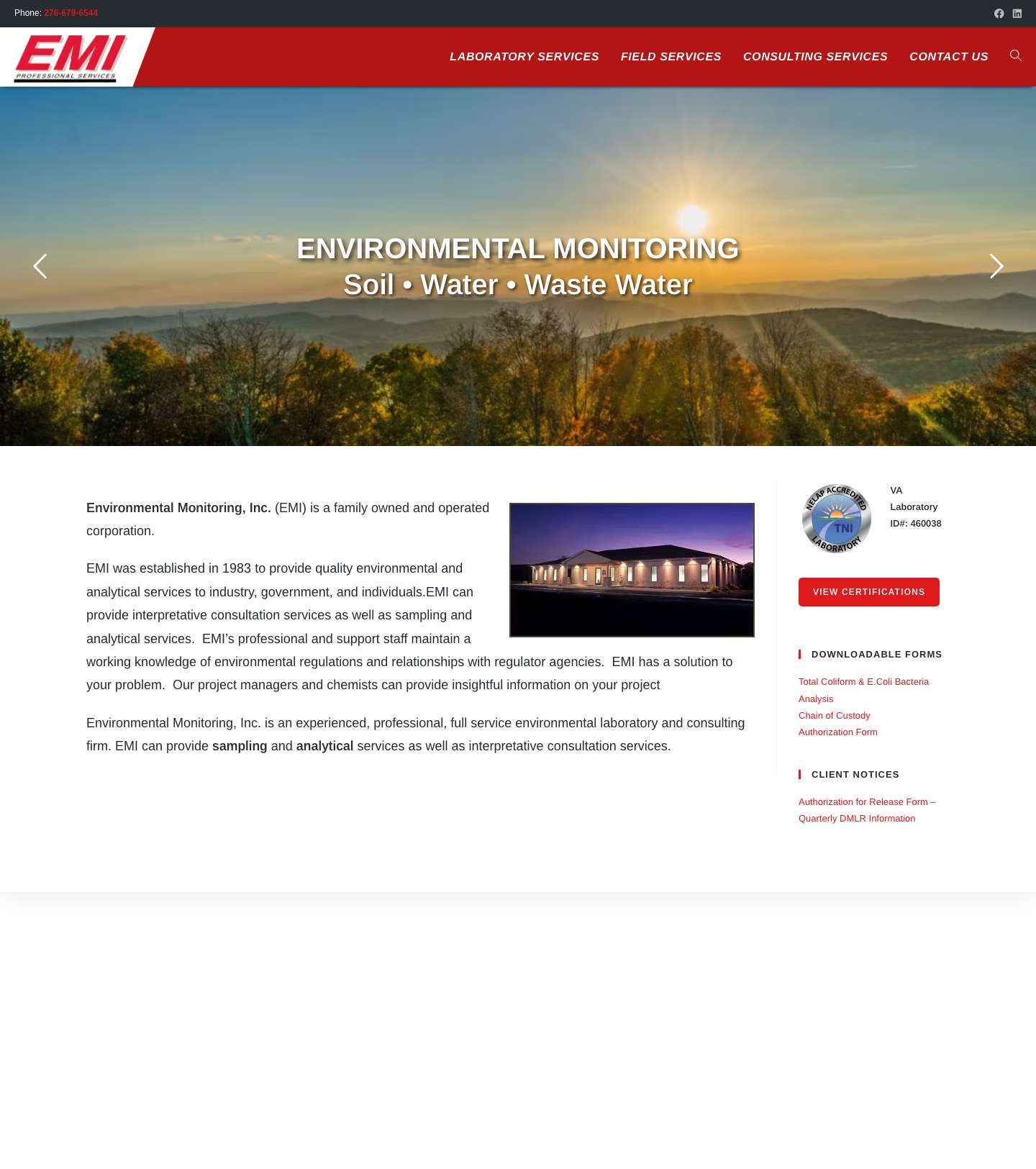 EMI Professional Services - Full Screenshot