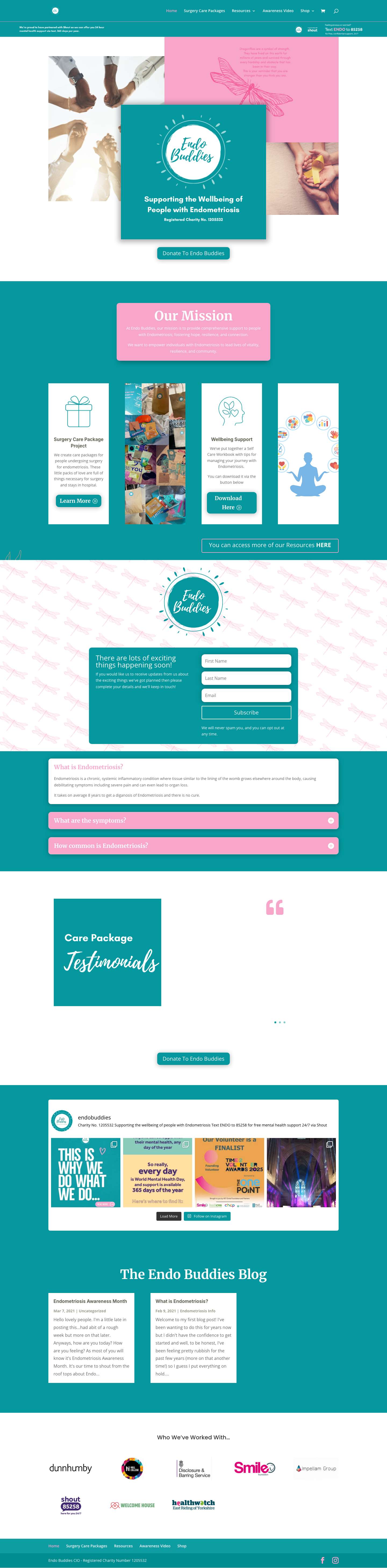 Home - Endo Buddies - Full Screenshot