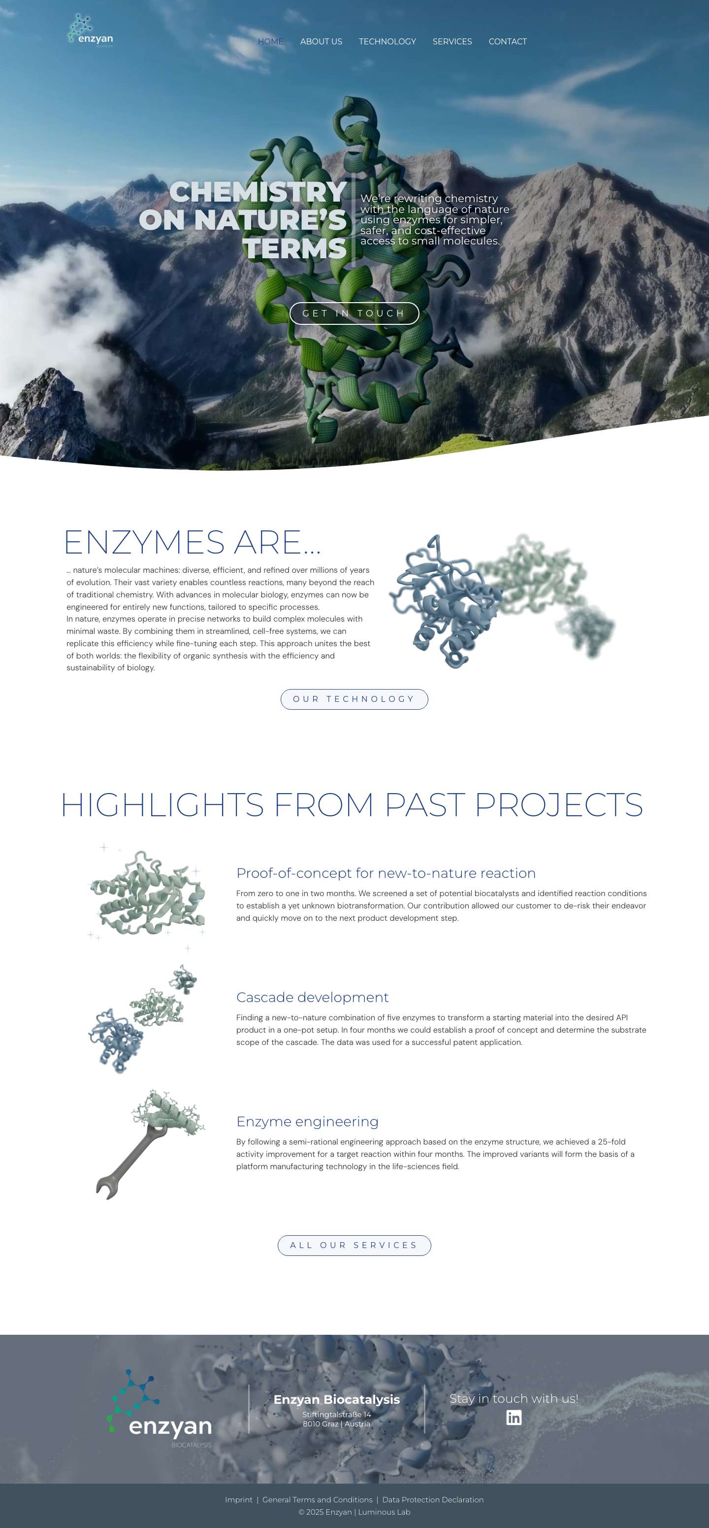 Enzyan - Full Screenshot