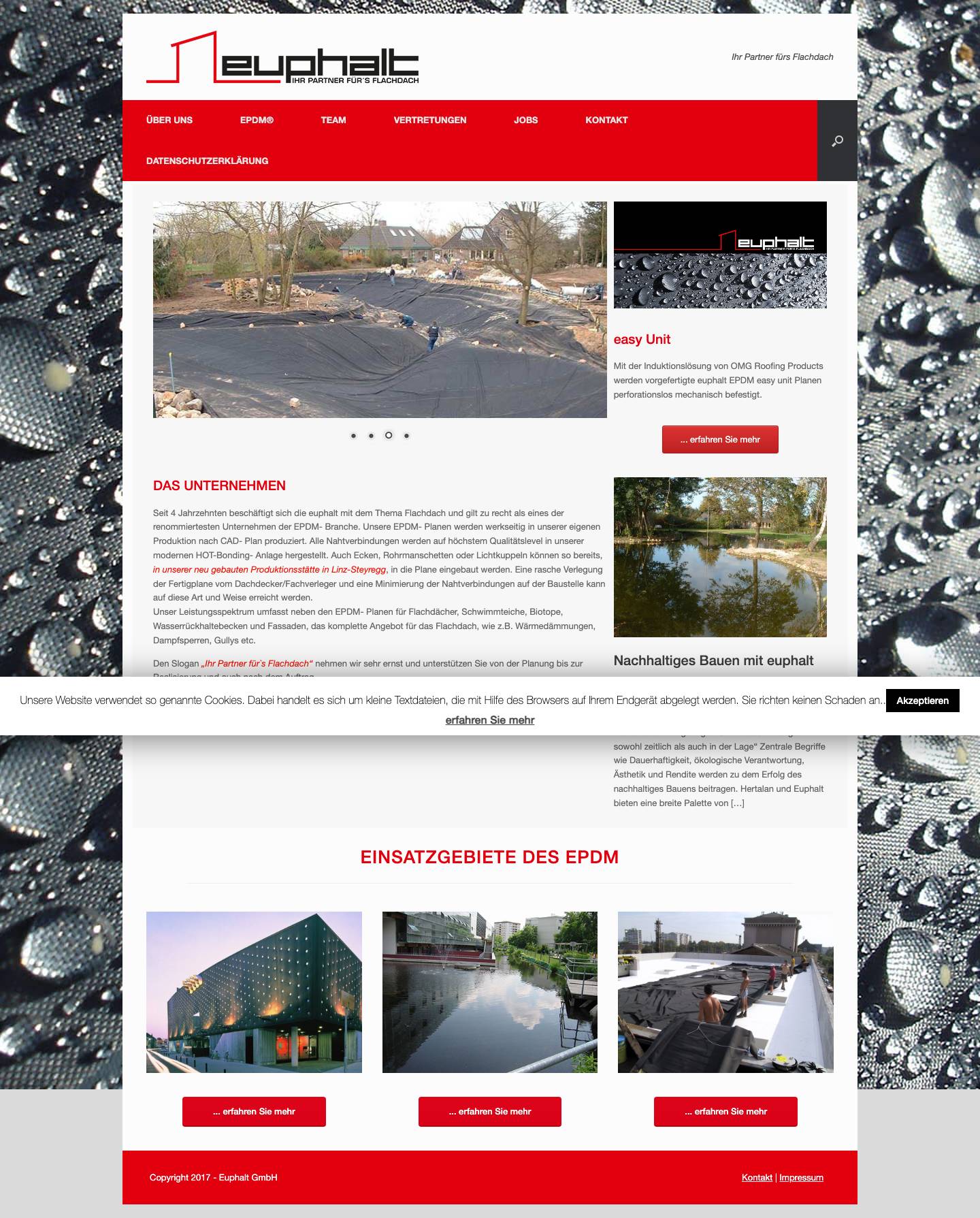 euphalt | Ihr Partner fürs Flachdach - Full Screenshot