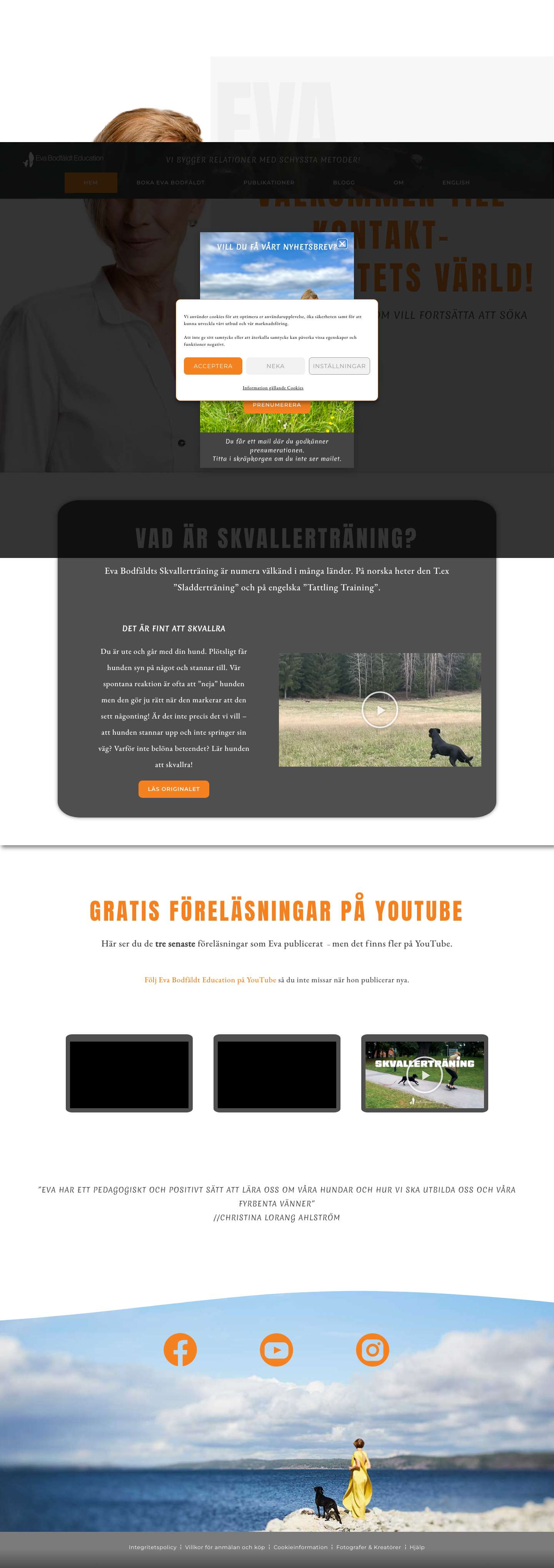 Hem - Eva Bodfäldt Education - Full Screenshot