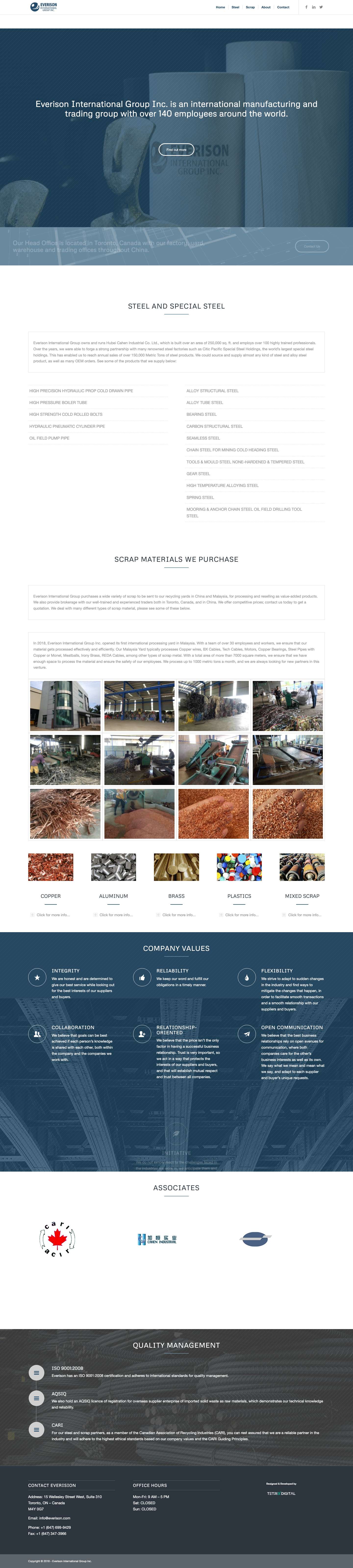 Everison – International Group Inc. - Full Screenshot