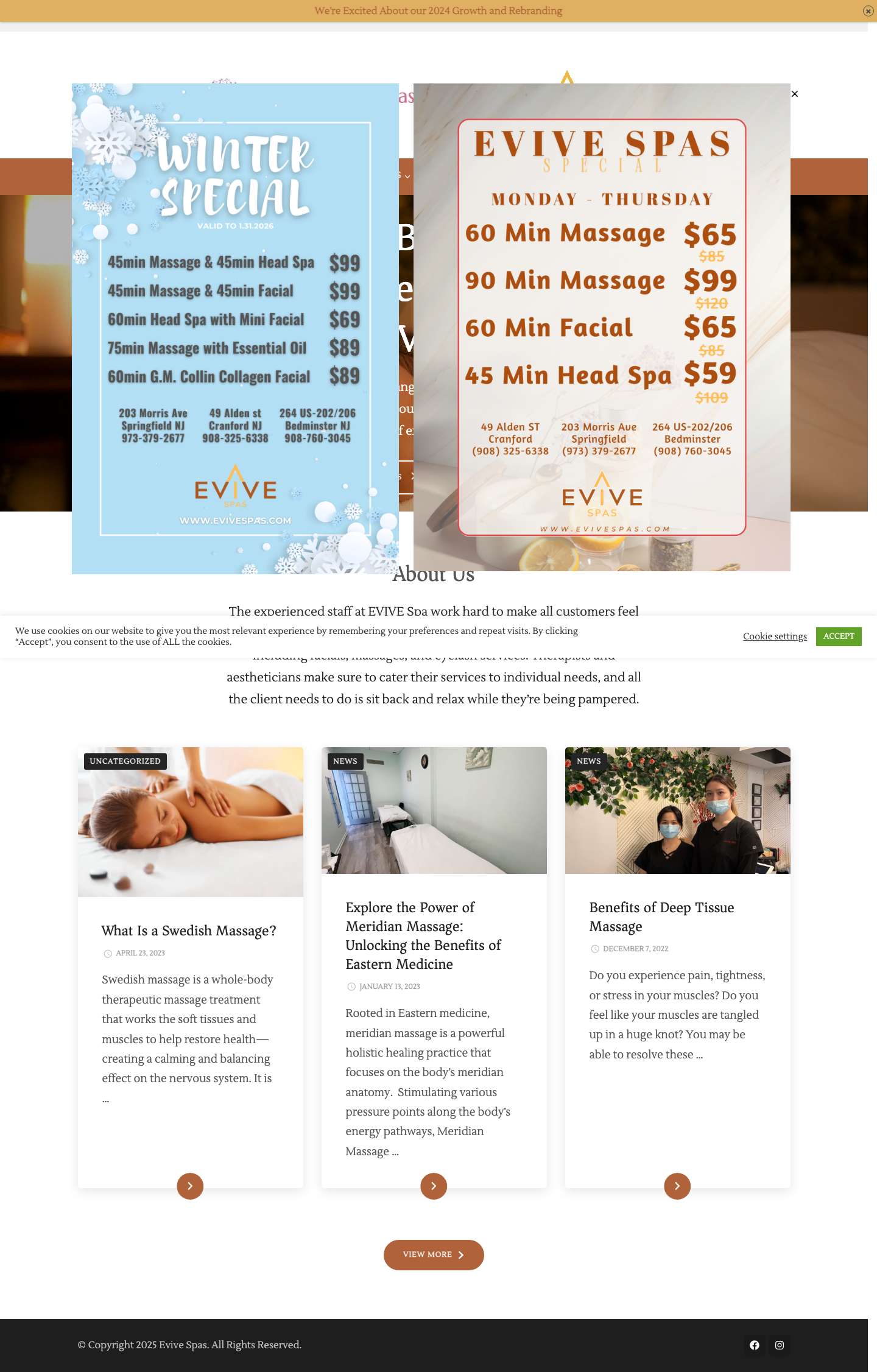 Evive Spas - Full Screenshot