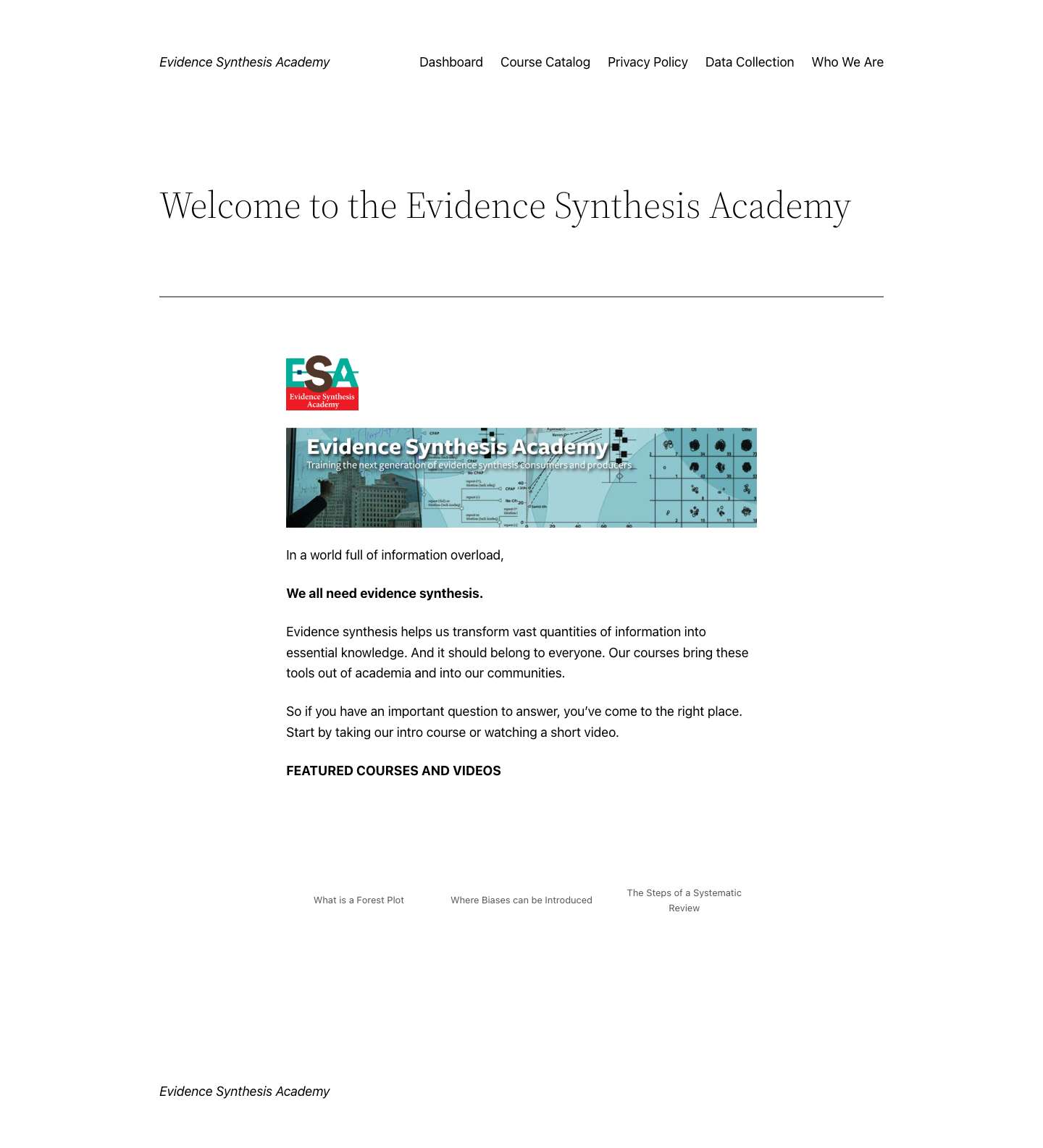 Evidence Synthesis Academy – EvSynthAcademy - Full Screenshot