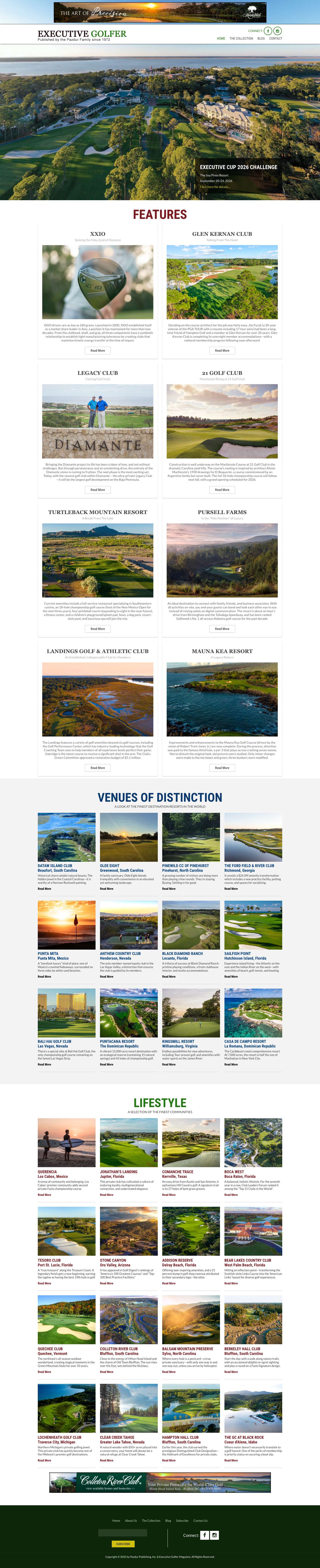 Executive Golfer - Full Screenshot