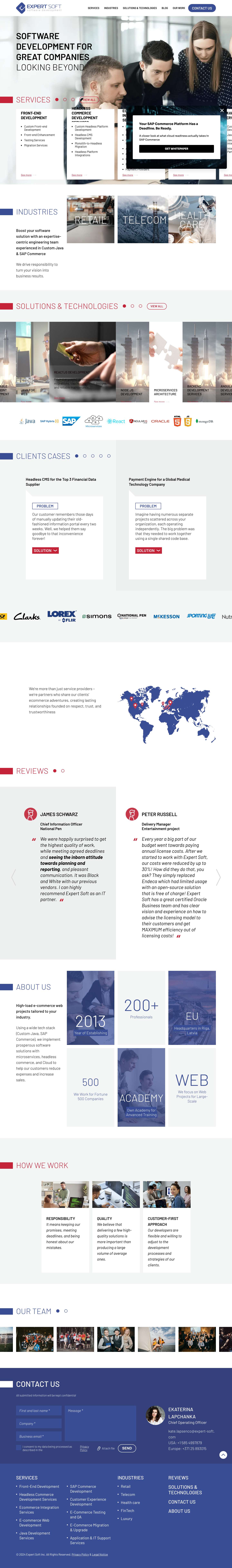 Ecommerce Software Development Company - Full Screenshot