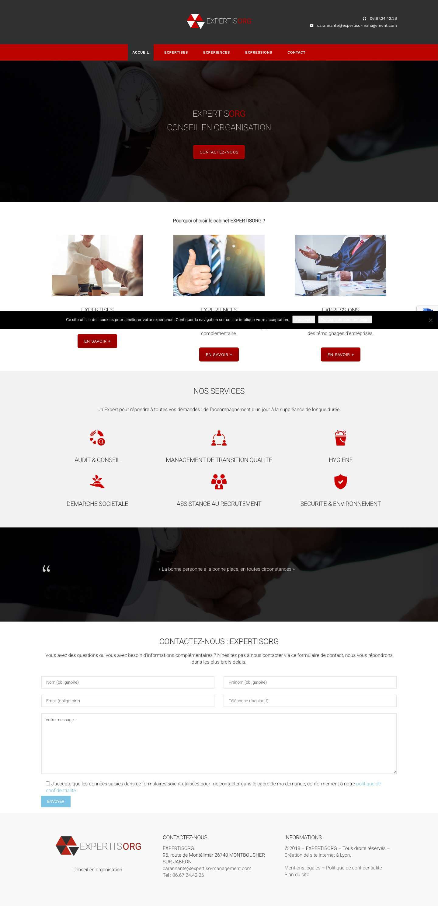 Expertisorg - Conseil en organisation - Full Screenshot