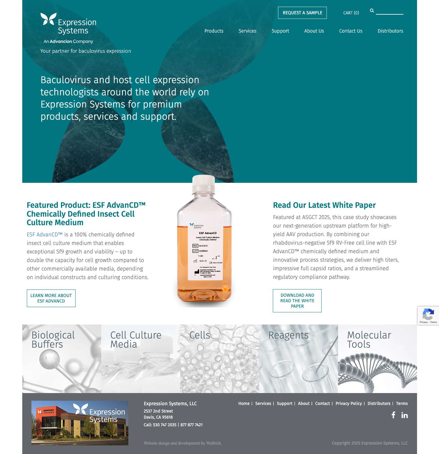 Home | Expression Systems | Insect cell culture media and Baculovirus - Full Screenshot